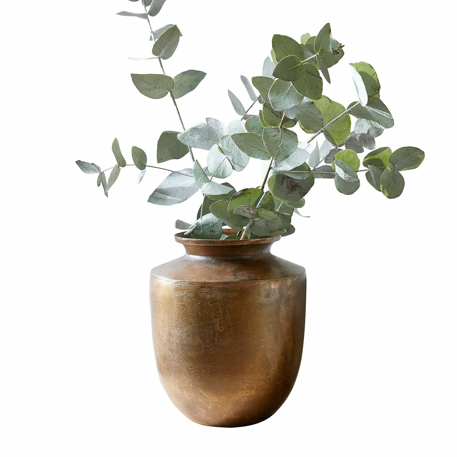 Vase Toulane Vase en laiton avec feuilles d'eucalyptus vertes pour décoration intérieure rustique