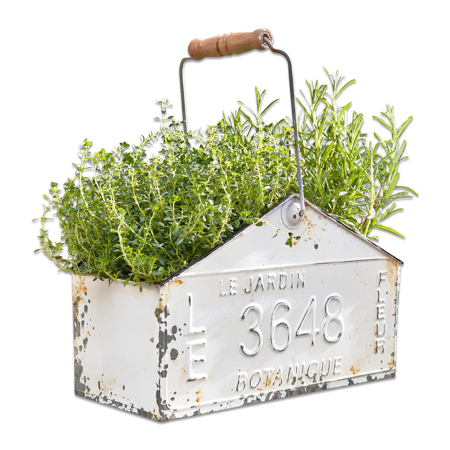 Panier Botanique Jardinière en métal blanc avec poignée en bois et herbes vertes, décoration jardin vintage