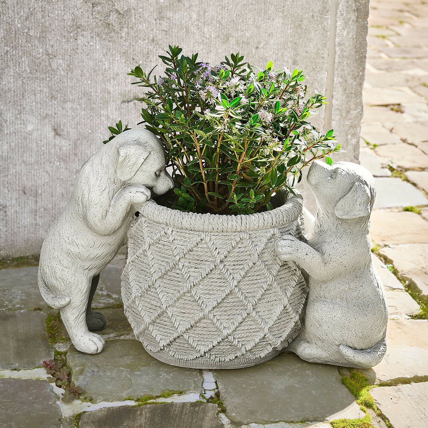 Cache-pot Marnja Jardinière en pierre grise avec deux chiots sculptés tenant une plante aux feuilles vertes