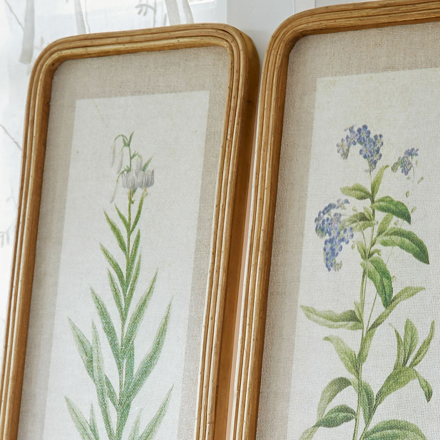 Lot de 2 tableaux Cenori