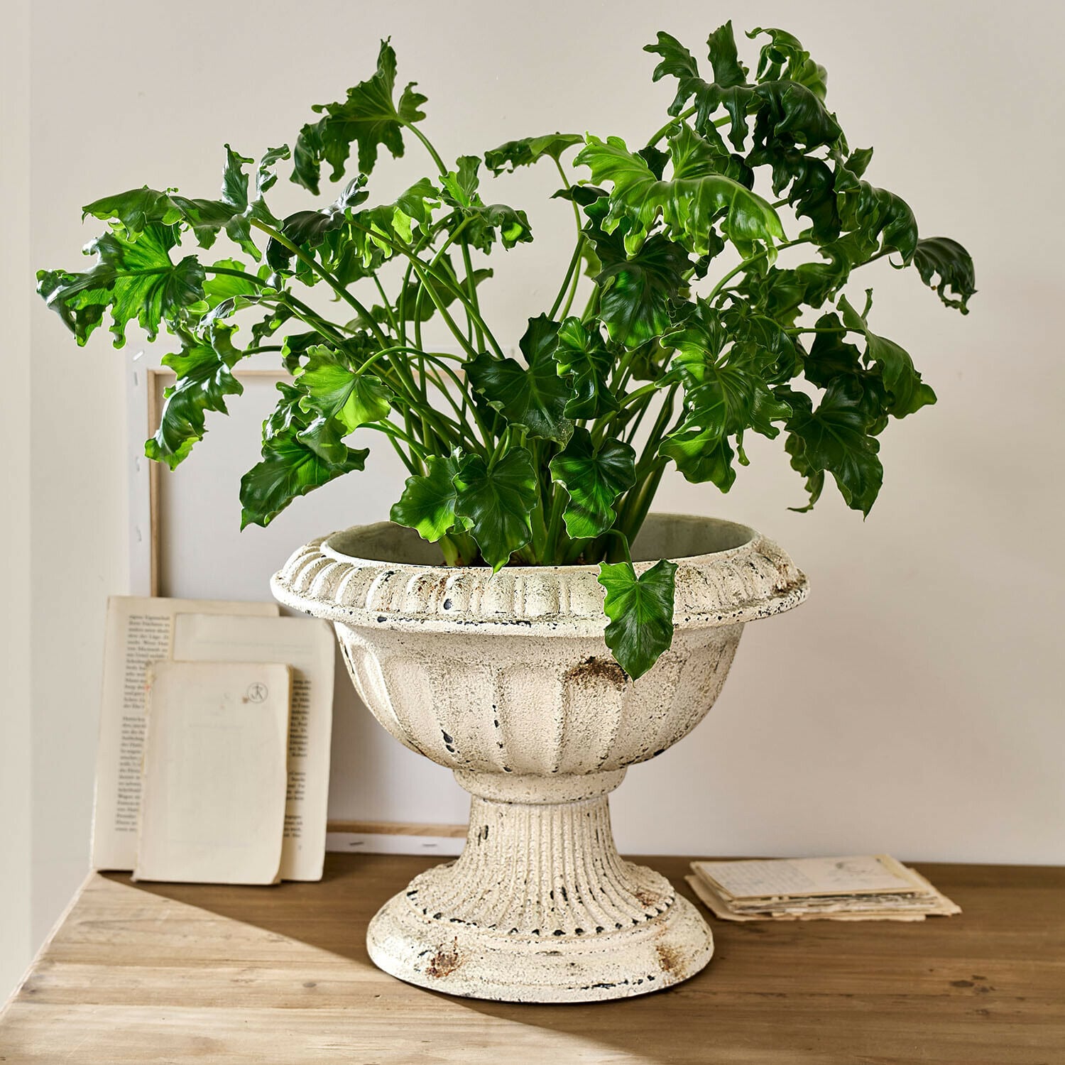 Amfora Islene Witte keramische bloempot met groene plant op houten tafel, interieurdecoratie