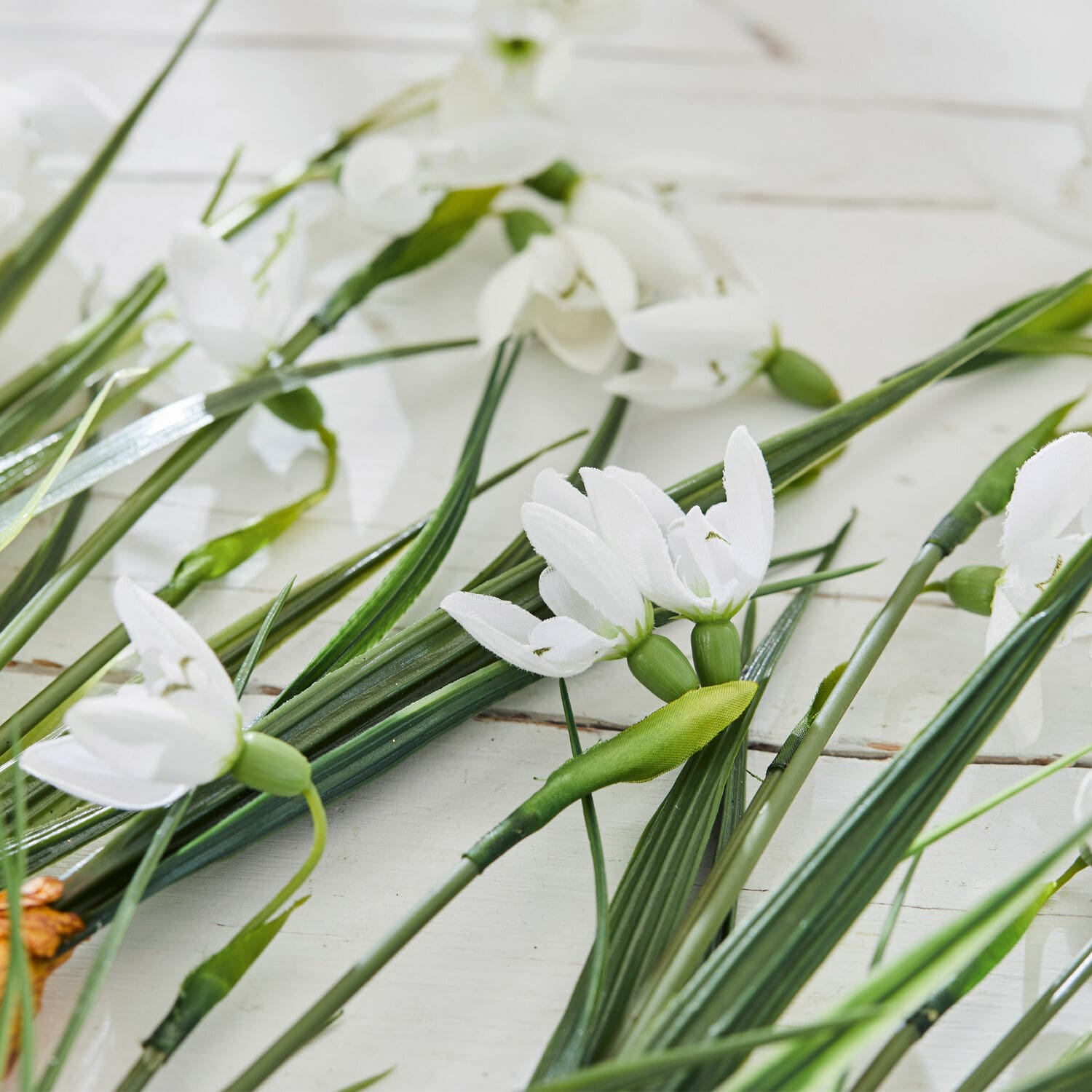 Sierbloem set van 12 Willmare