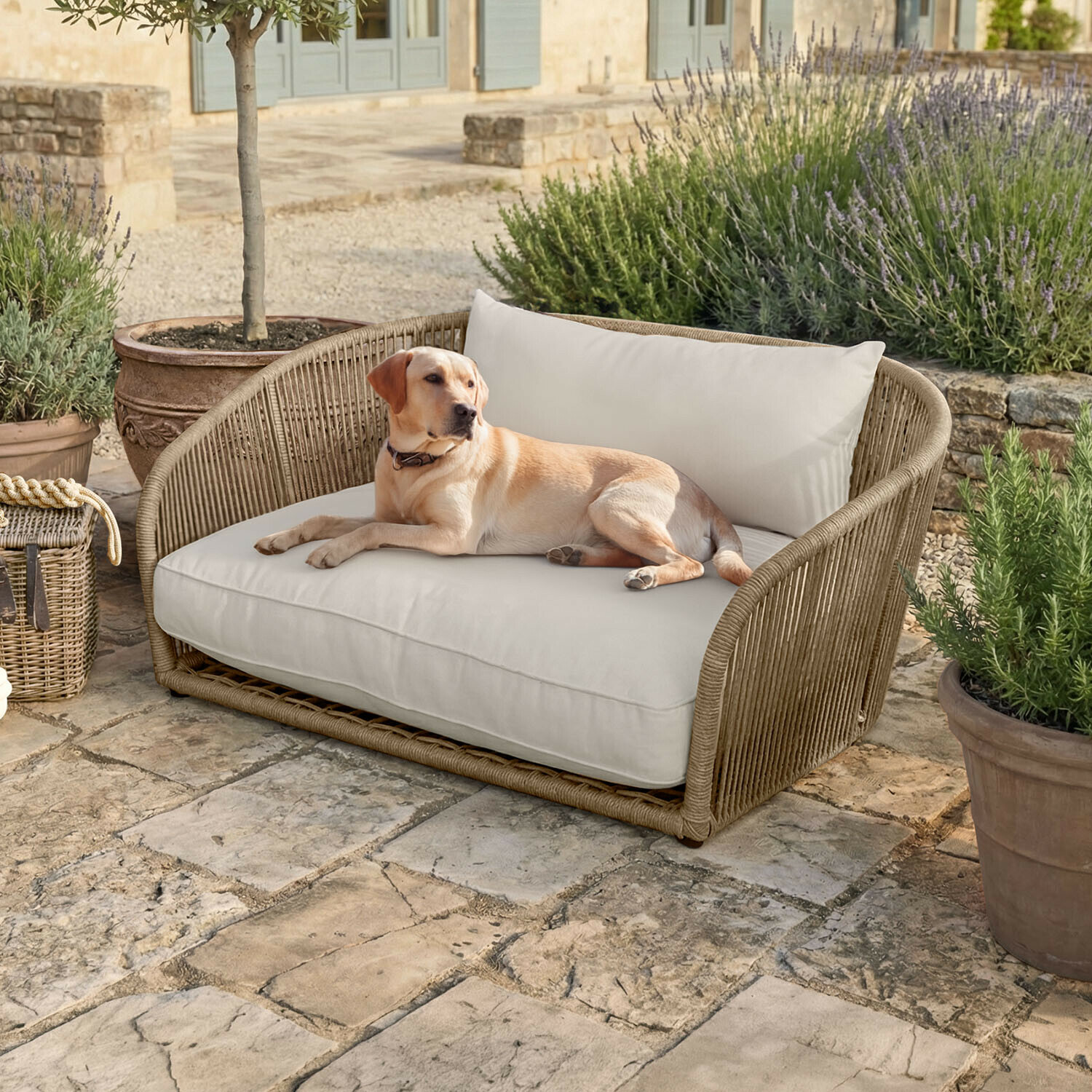 Canapé d’intérieur et d’extérieur pour animaux Belvidere Canapé beige en rotin avec coussins crème sur terrasse en pierre, un chien allongé à côté de plantes en pot