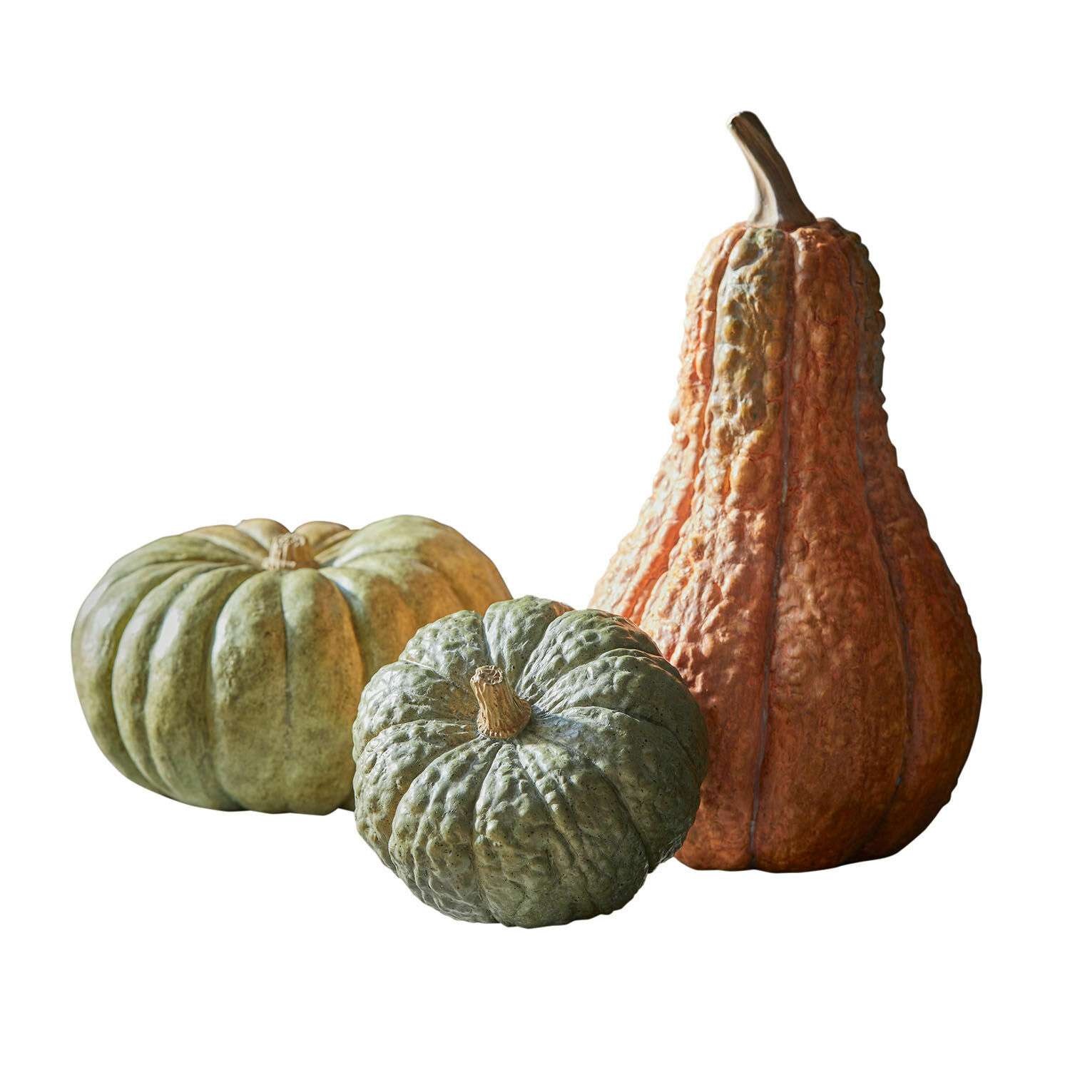 Sierpompoen set van 3 Raliven