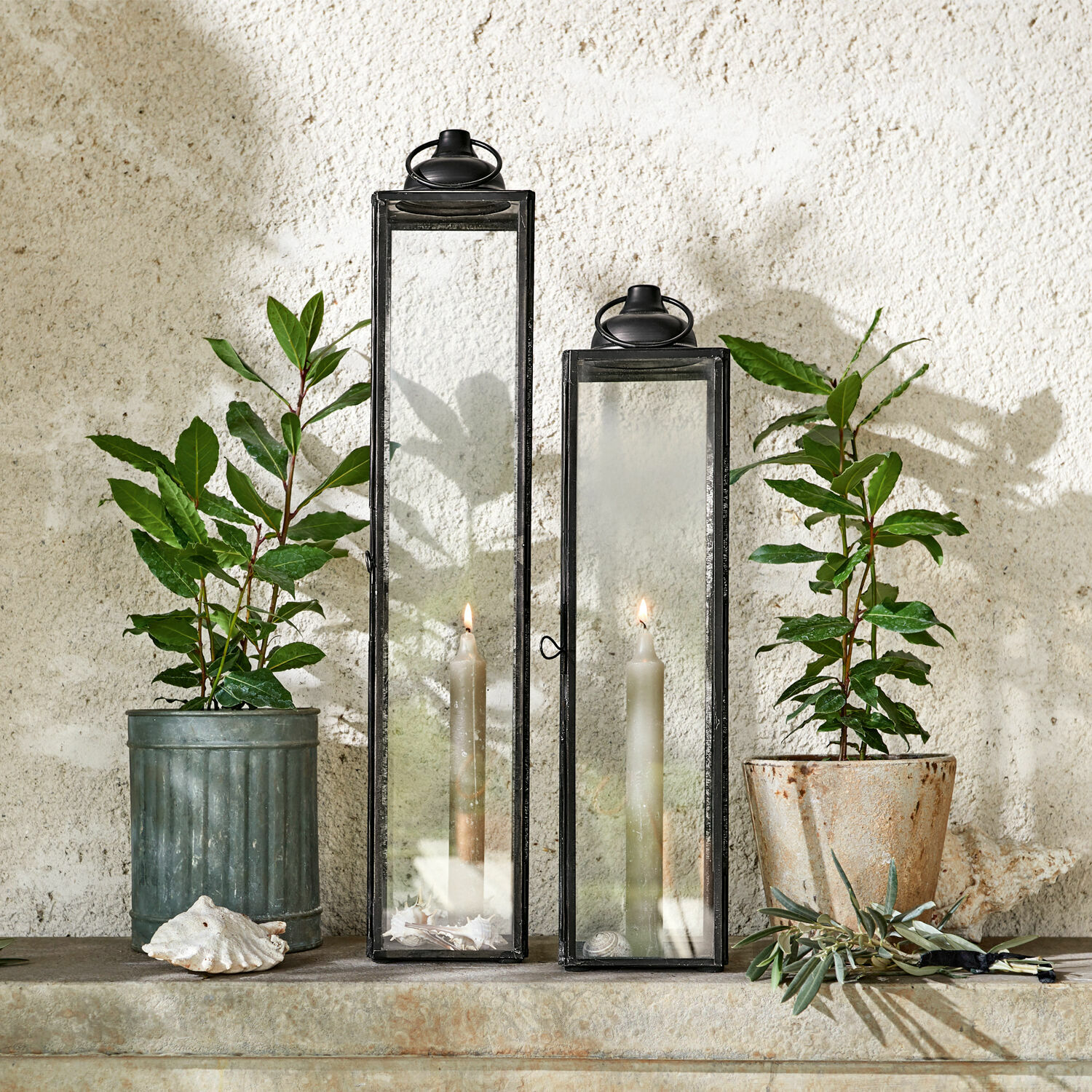 Lantaarn set van 2 Radu Twee zwarte metalen lantaarns met helder glas en witte kaarsen voor een muur met planten