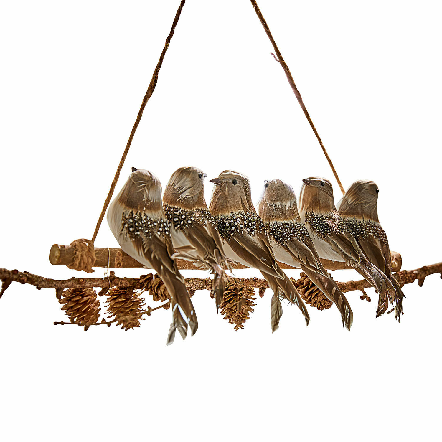 Tak met vogeltjes Orely Hangende decoratie met zes bruine vogels en dennenappels aan houten tak met touw