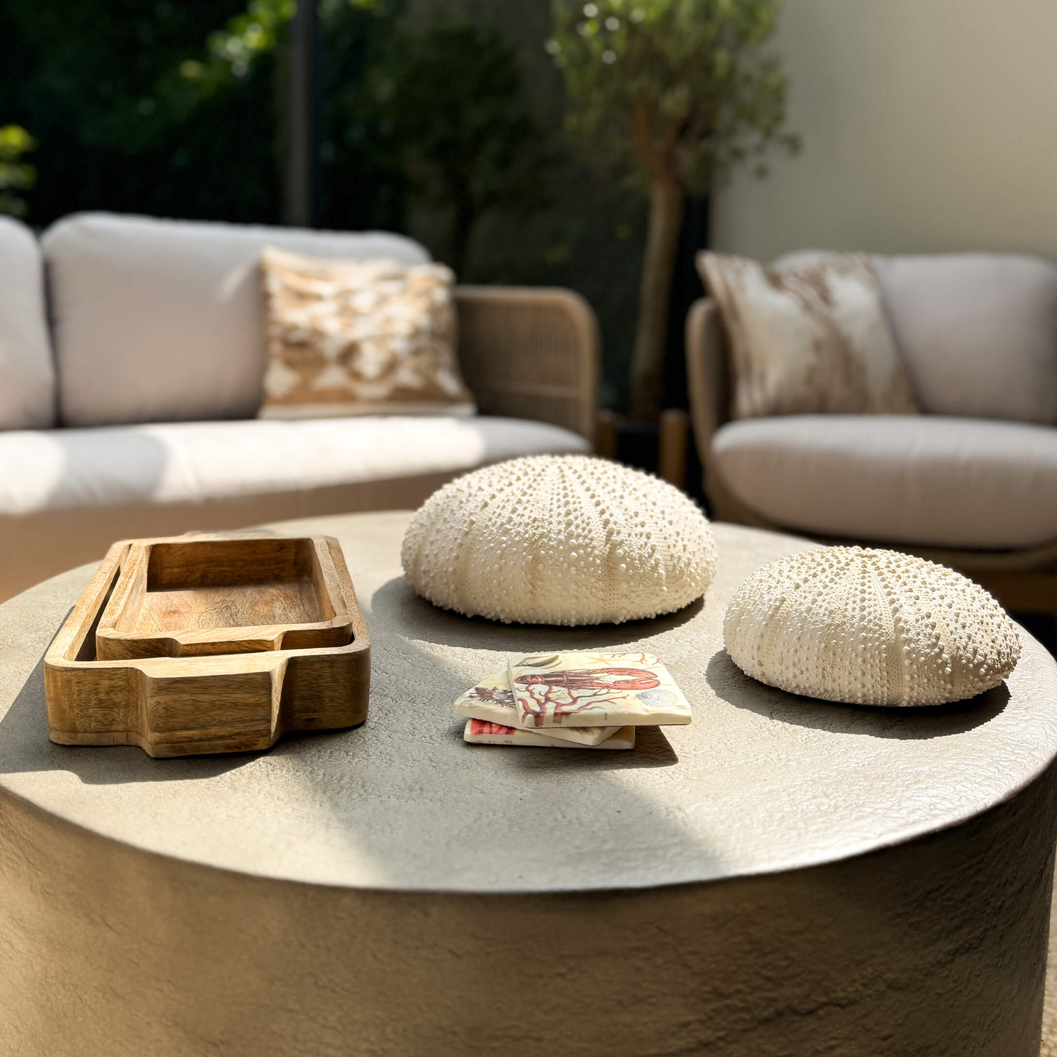 Witte zee-egels en houten dienbladen op grijze tafel in moderne woonkamer met lichte banken