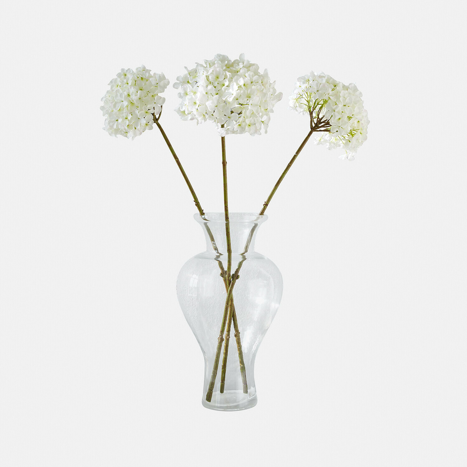 Vase Cantellia