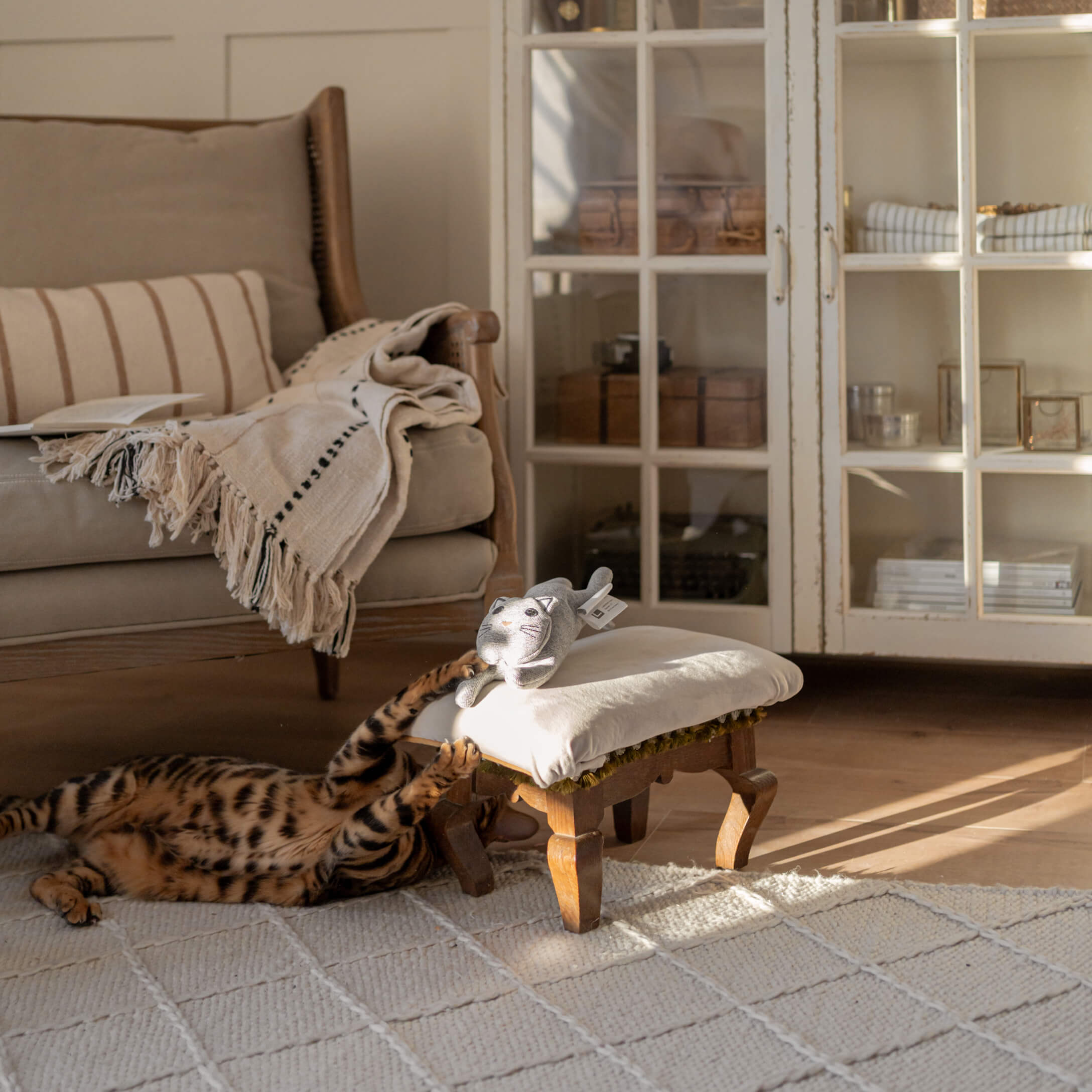 Chat en peluche gris sur un repose-pieds blanc en bois dans un salon chaleureux avec un chat jouant sur le tapis