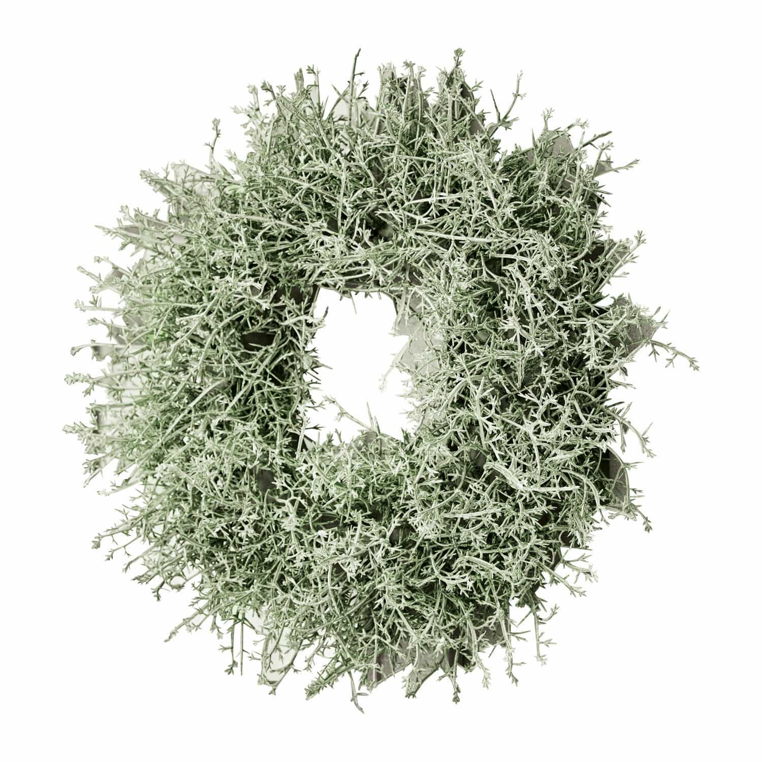 Couronne Senailly Couronne décorative en branches vertes avec teinte argentée, idéale pour mur ou porte
