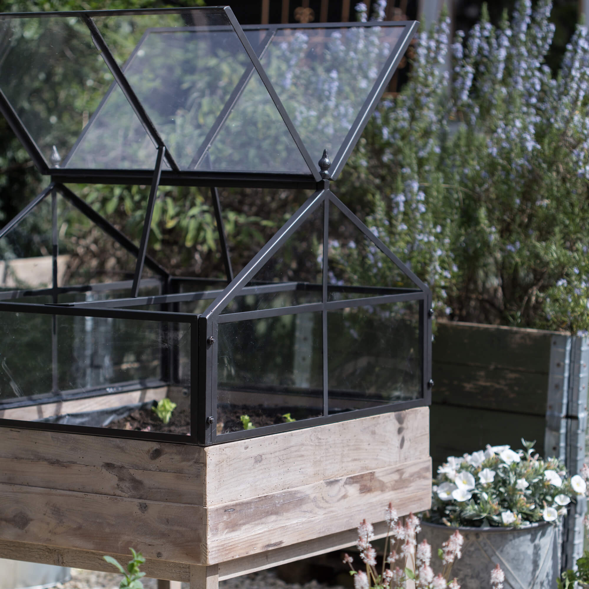 Glazen kas op houten onderstel in tuin voor het kweken van planten en groenten