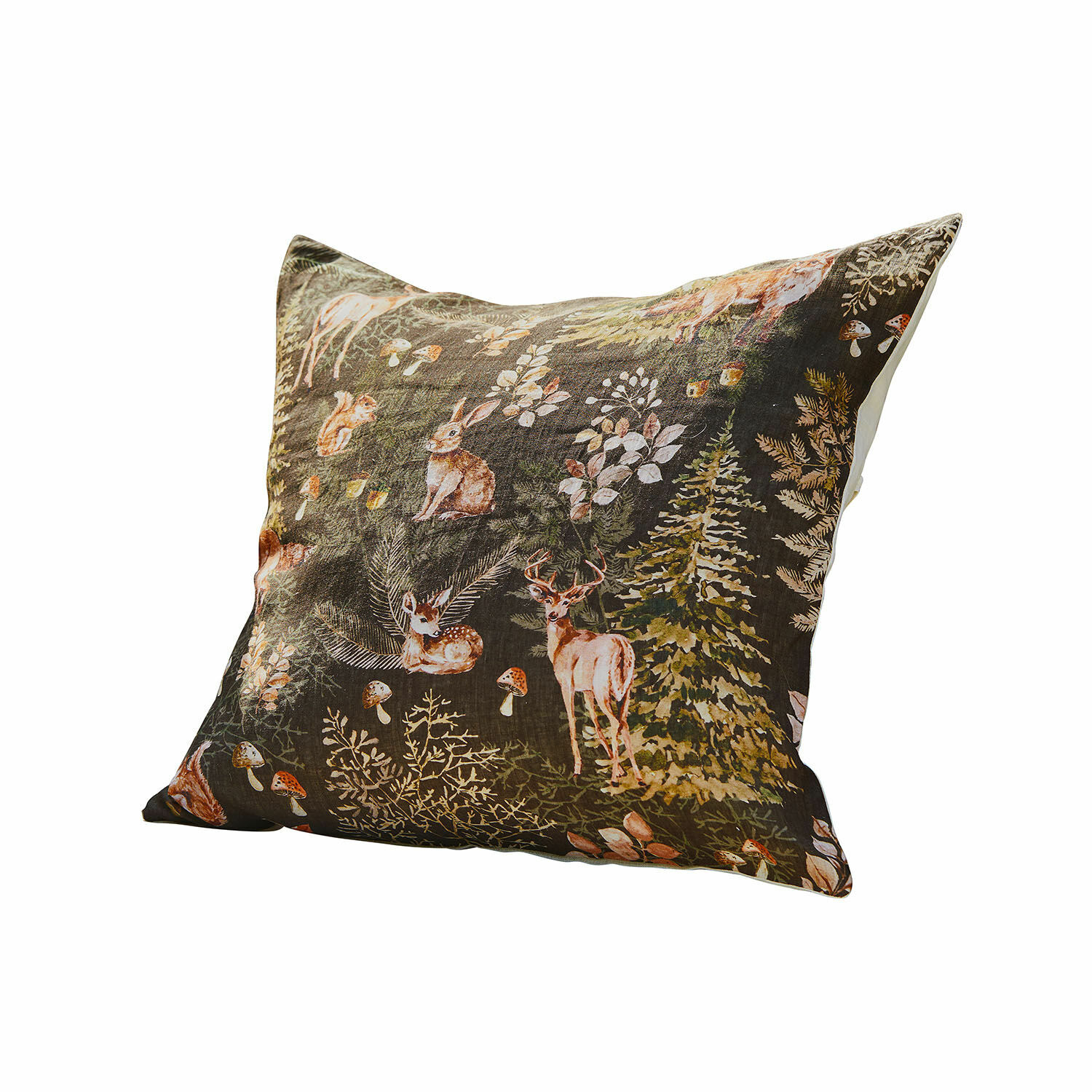 Housse de coussin Clairvigne
