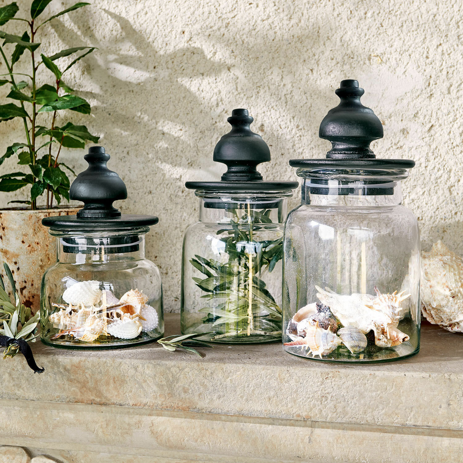 Lot de 3 pots Hakeen Ensemble de trois bocaux en verre avec couvercles noirs, décorés de coquillages et de branches vertes