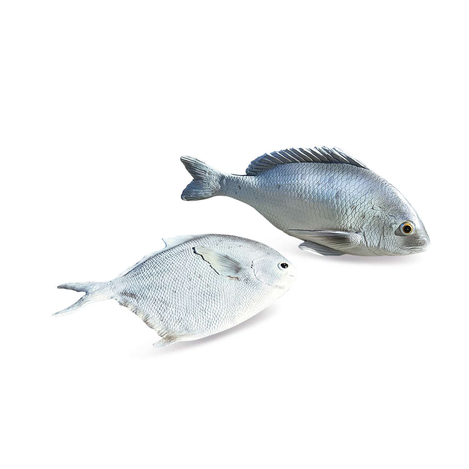 Vis, set van 2 Maleko