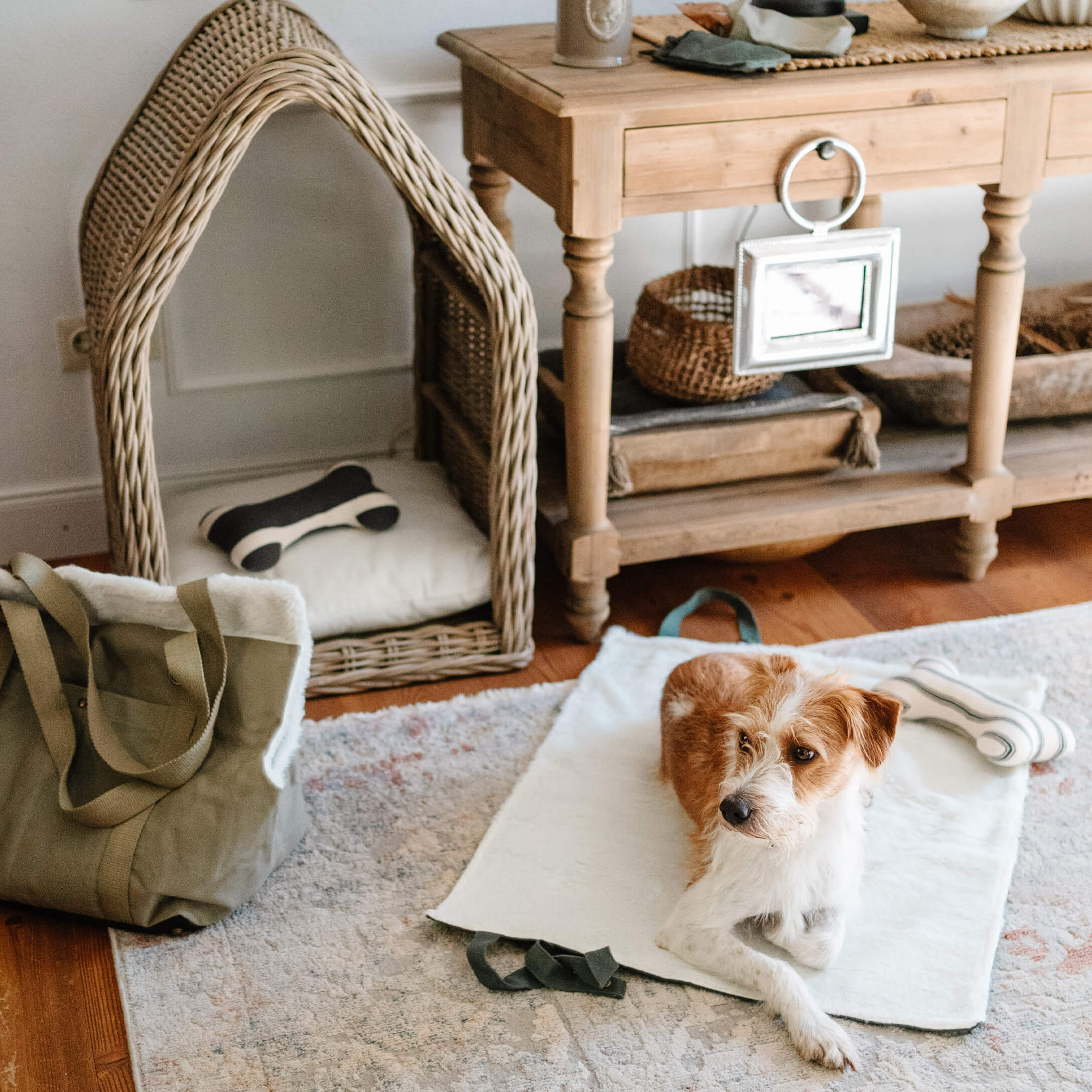 Bruin-witte hond liggend op een zachte witte mat naast een rieten mand en een houten tafel