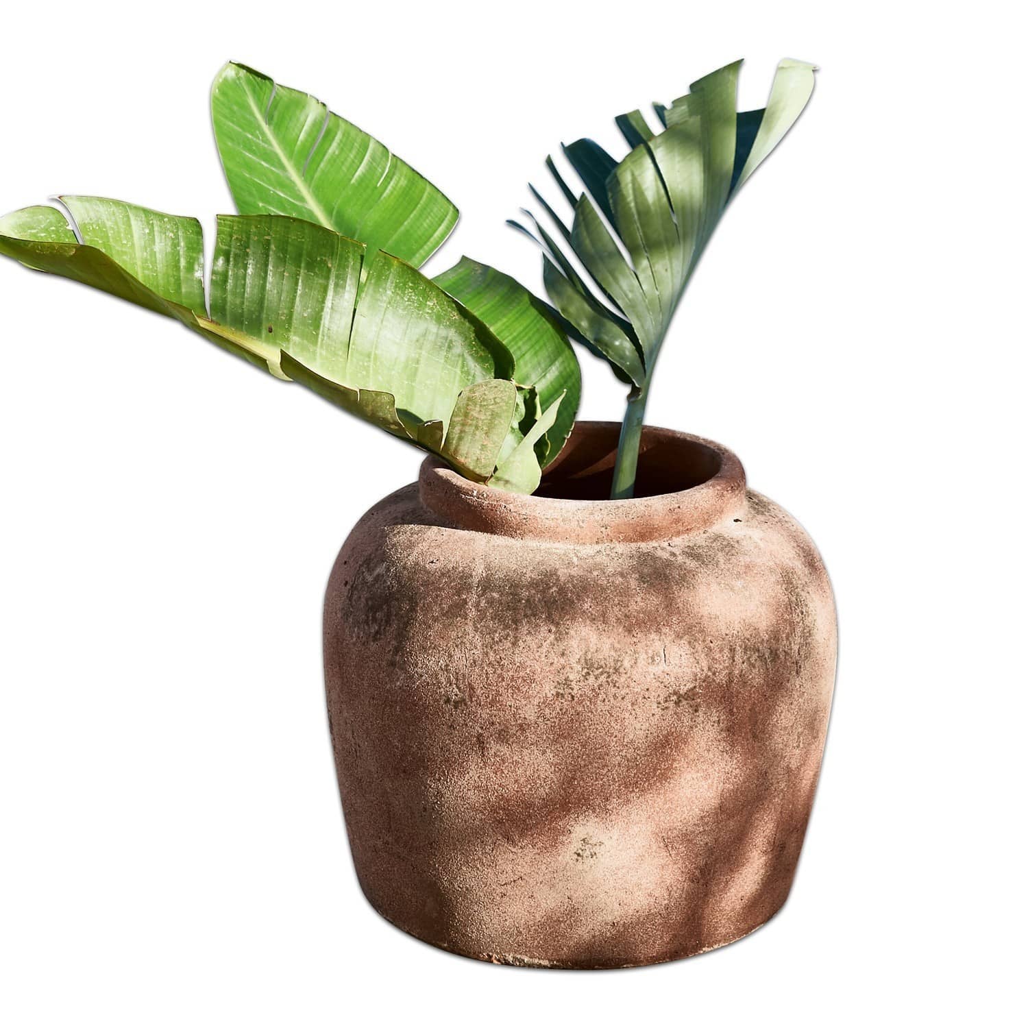 Sierpot Isabella