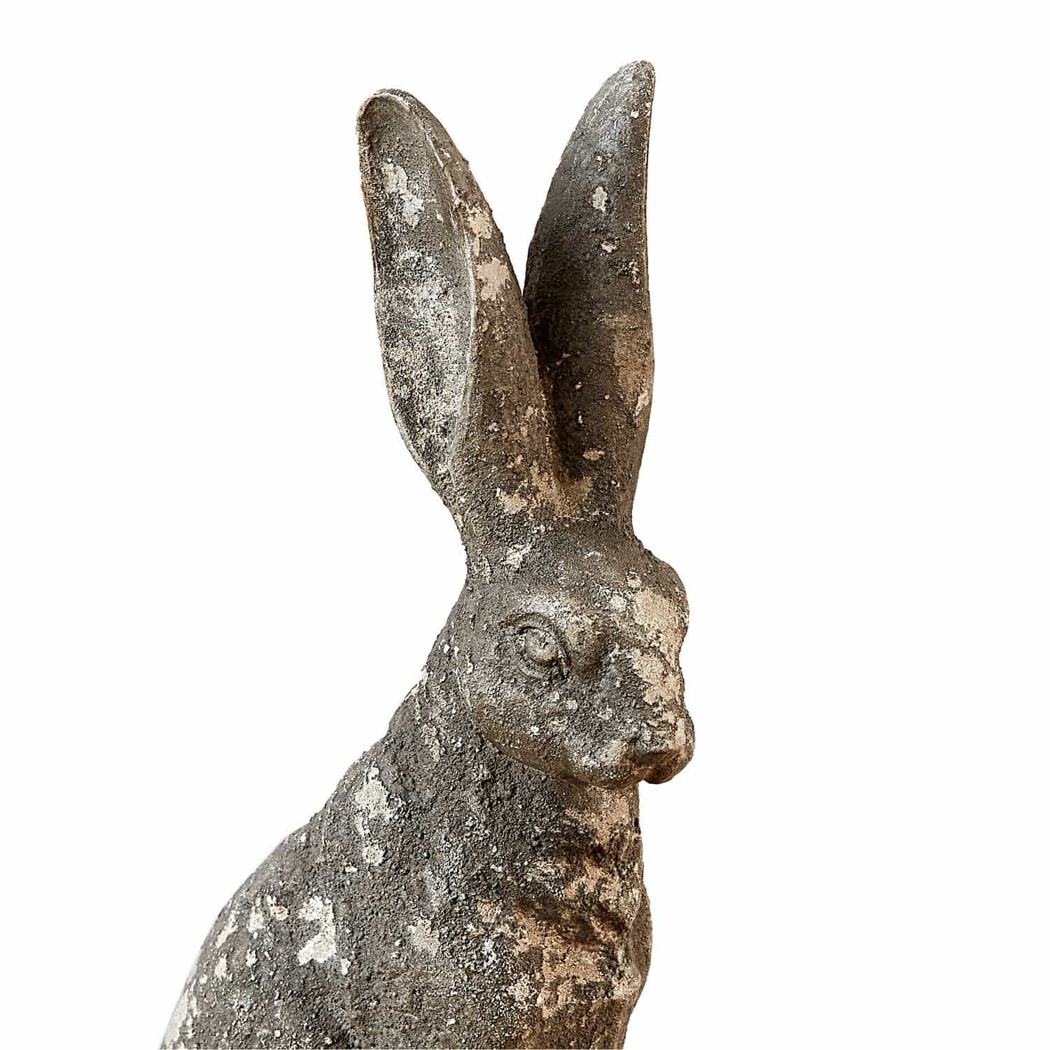 Lapin décoratif Nivelles