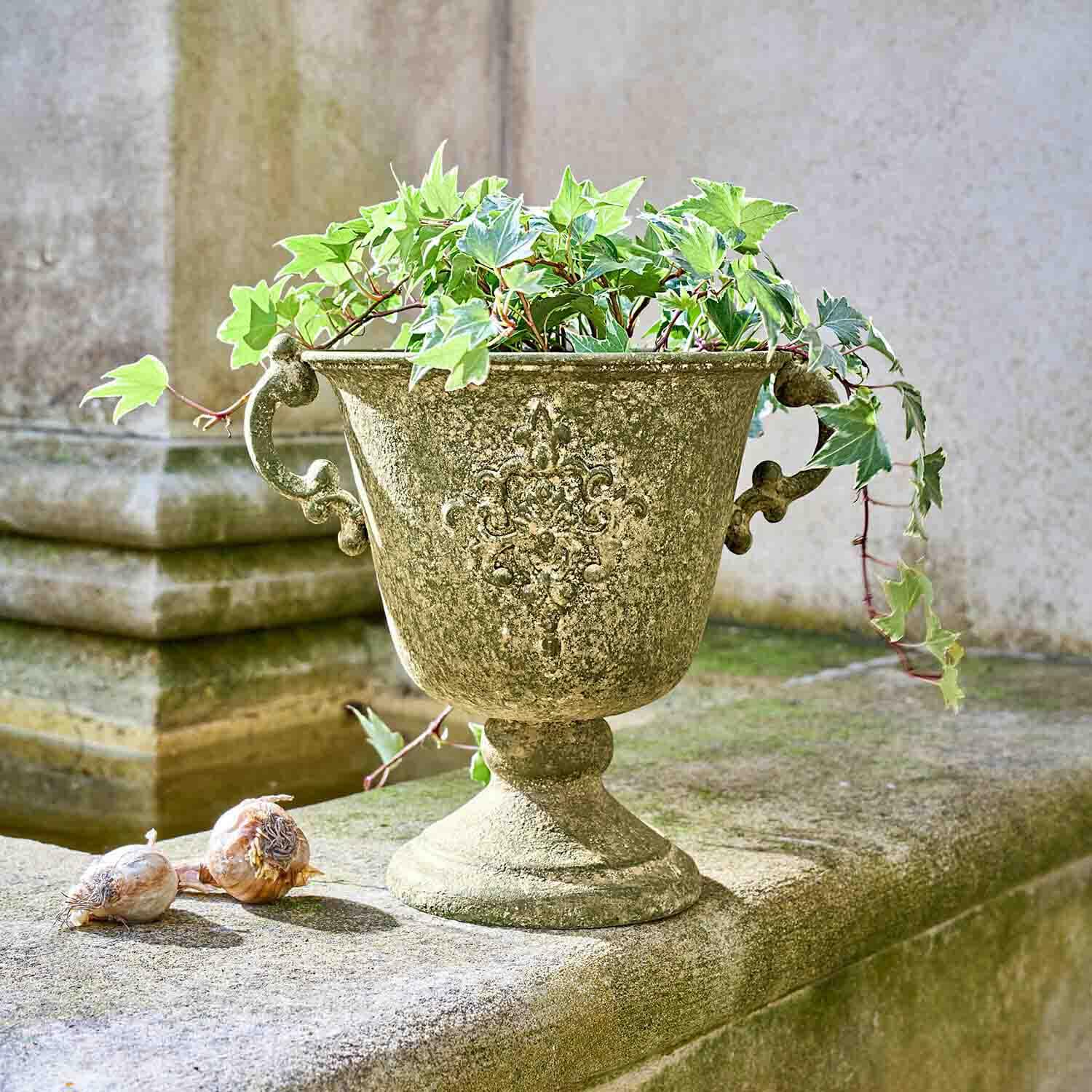 Jardinière décorative vert vieilli avec lierre et bulbes posée sur un mur en pierre extérieure