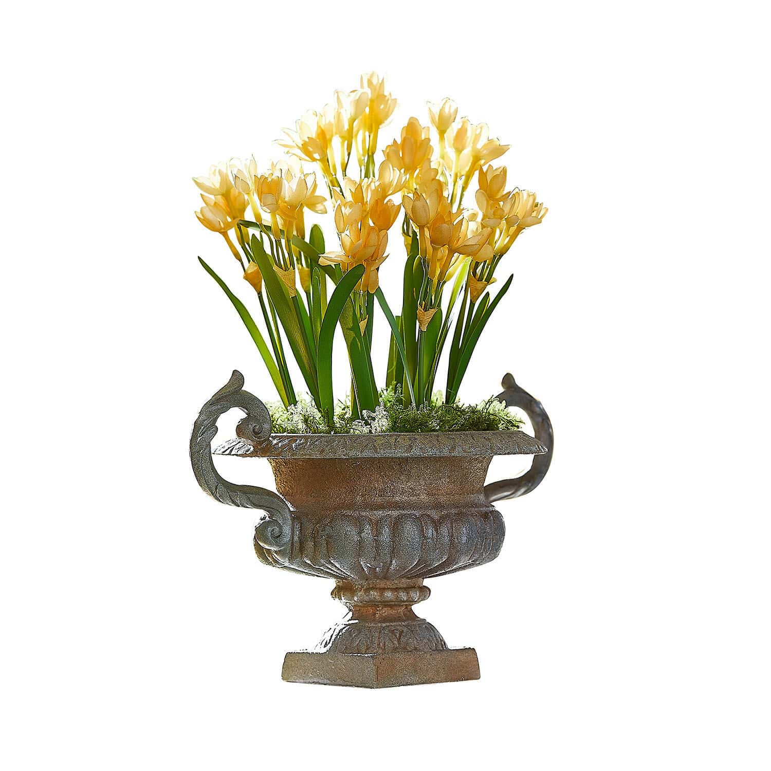 Amphore Iverlon Jardinière en métal décorative avec fleurs jaunes et feuilles vertes sur fond blanc