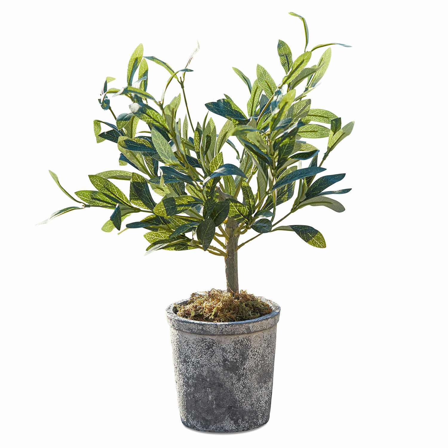 Sierpotplant Mariuccia Kunstmatige olijfboom in grijze pot met mosdecoratie, decoratieve plant voor binnen en buiten
