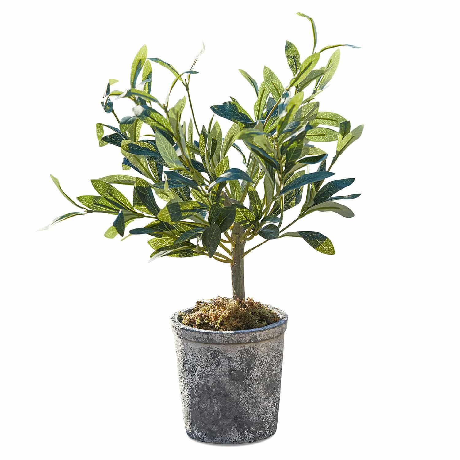 Sierpotplant Mariuccia Kunstmatige olijfboom in grijze pot met mosdecoratie, decoratieve plant voor binnen en buiten