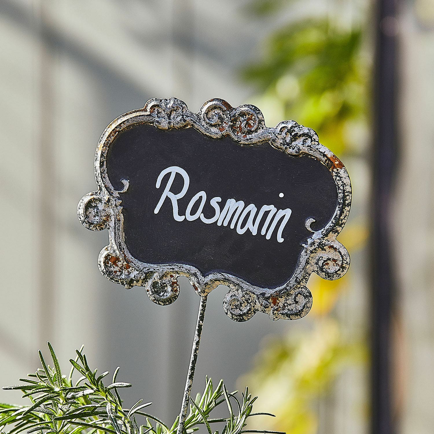 Plantensteker set van 3 Trevalin