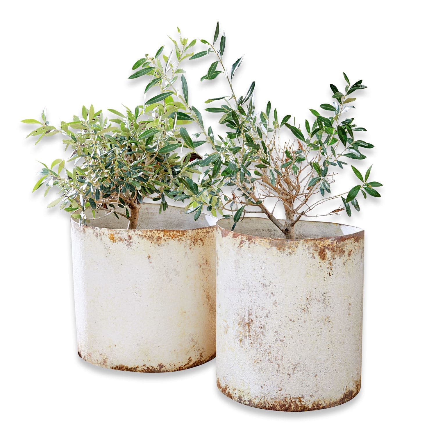 Bloempot set van 2 Sconne Twee witte metalen plantenbakken met roestpatroon en groene planten, tuindecoratie