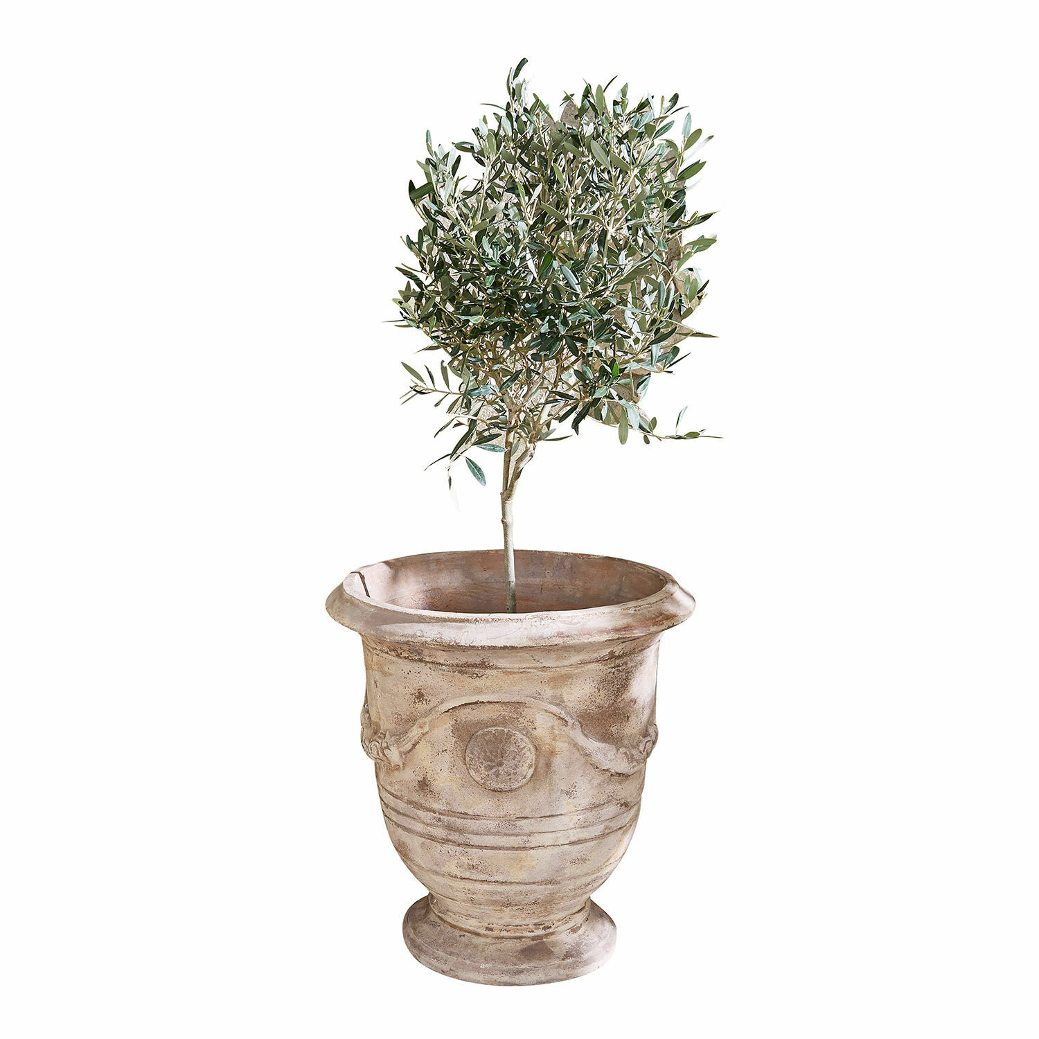 Sierpot Garwood Terracotta bloempot in beige met groene plant, geschikt voor binnen- en buitendecoratie