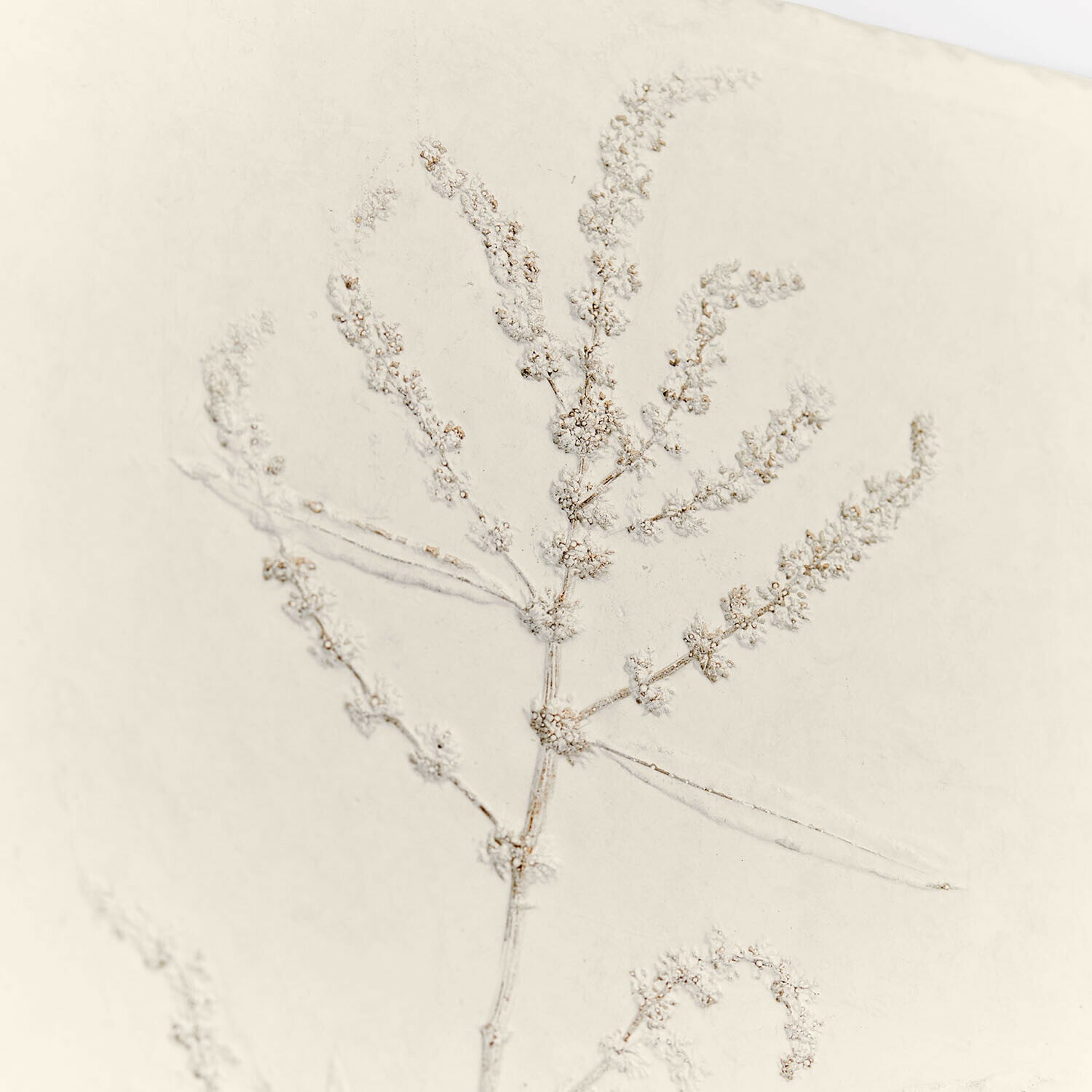 Lot de 2 tableaux Maevara