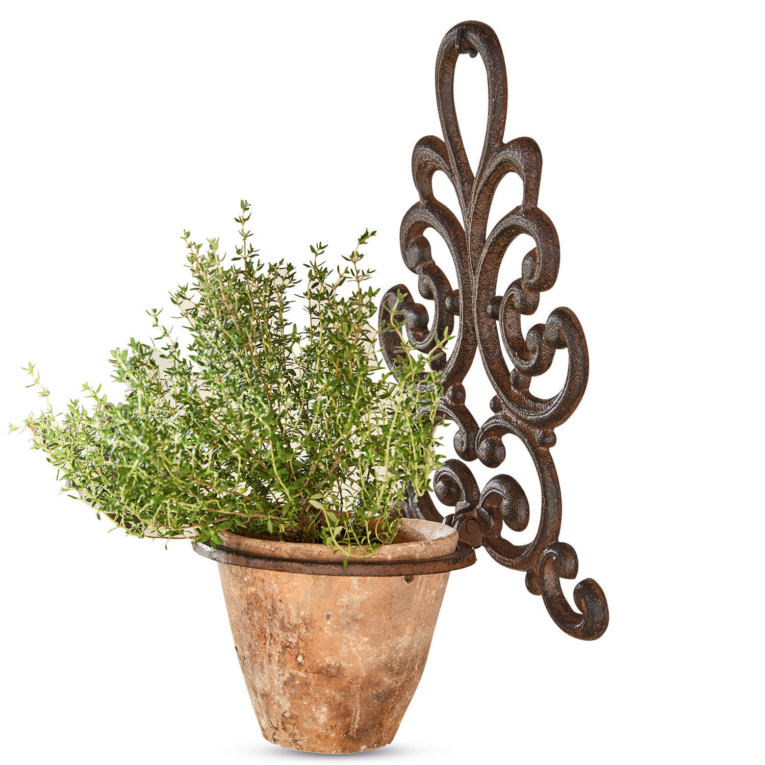 Bloempothouder Cecile Terracotta pot met groene plant aan decoratieve bruine metalen wandhouder