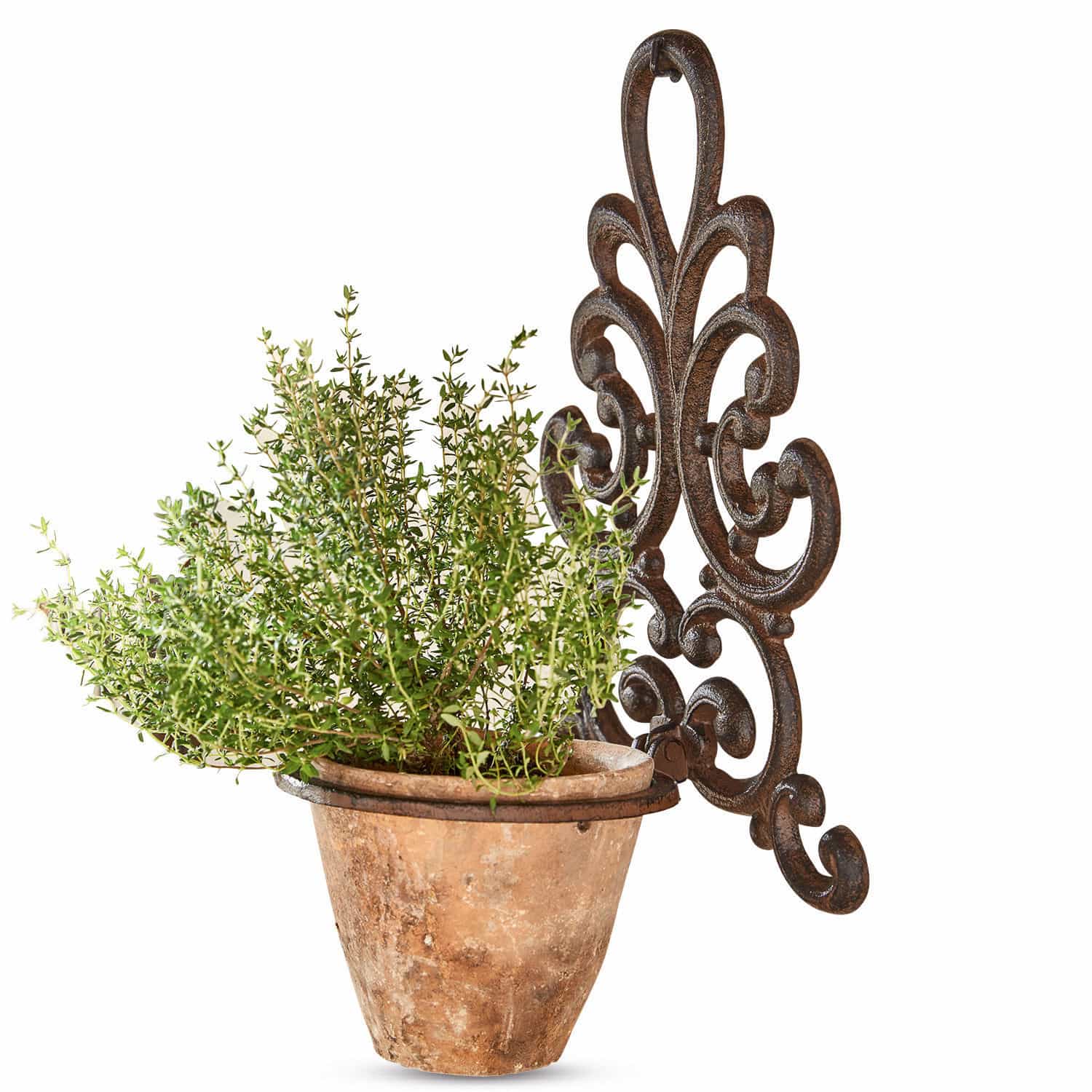 Porte-plantes Cecile Pot en terre cuite avec plante verte fixé sur un support mural en métal brun décoratif