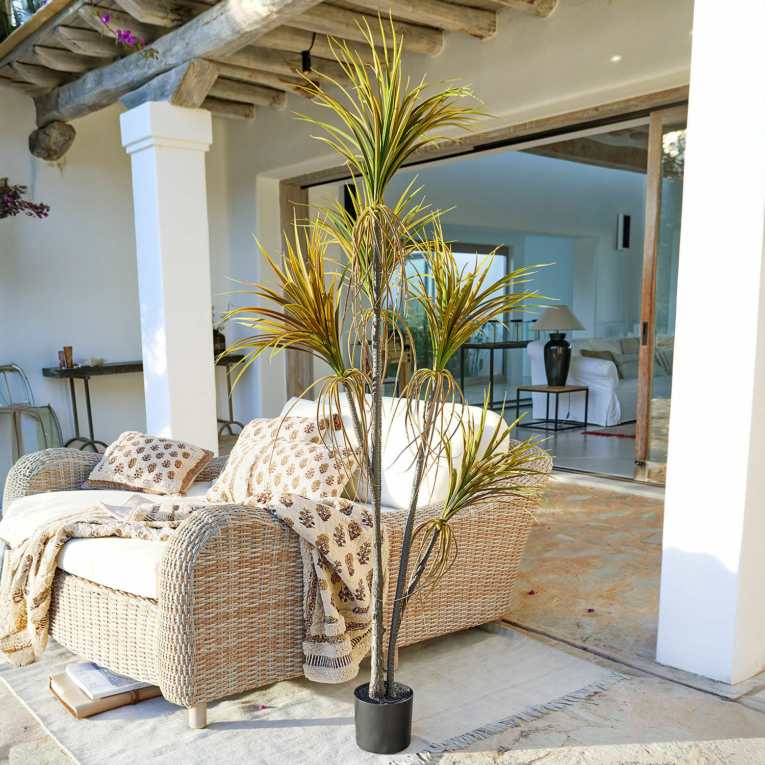 Decoratieve potplant Ancerac
