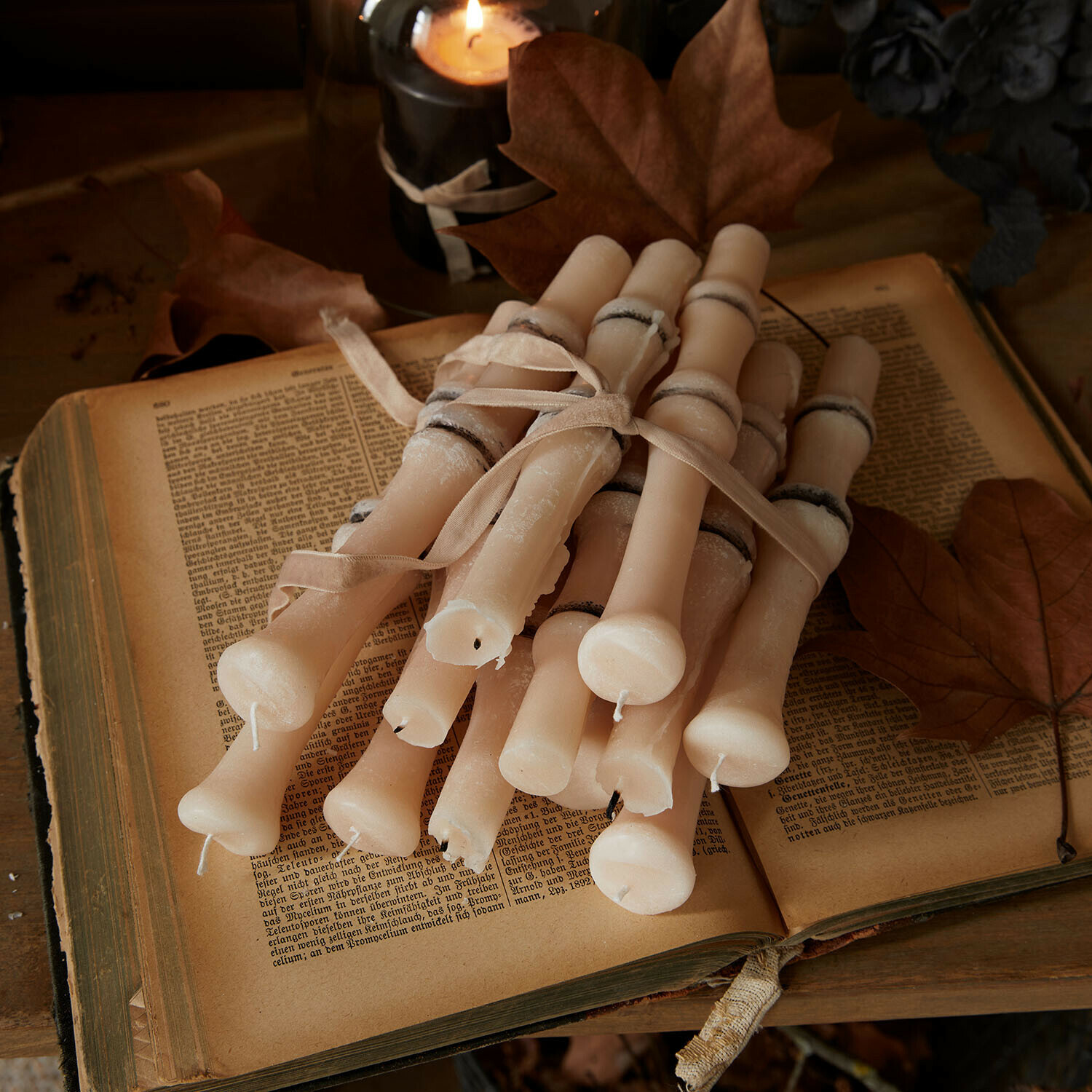 Lot de 12 bougies Saelith