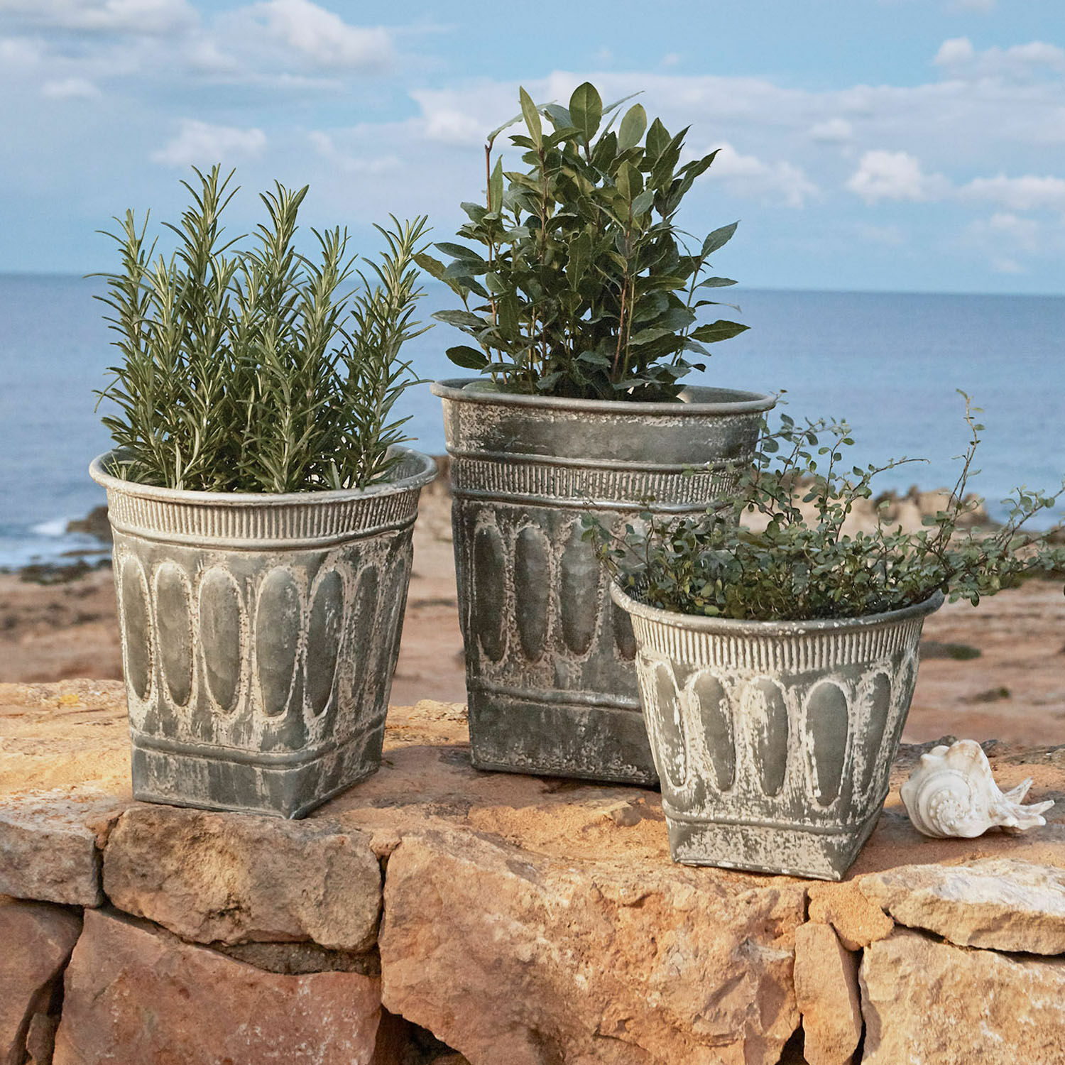Sierpot set van 3 Bakersfield Set van drie decoratieve grijze metalen bloempotten met planten op rotsen bij zee