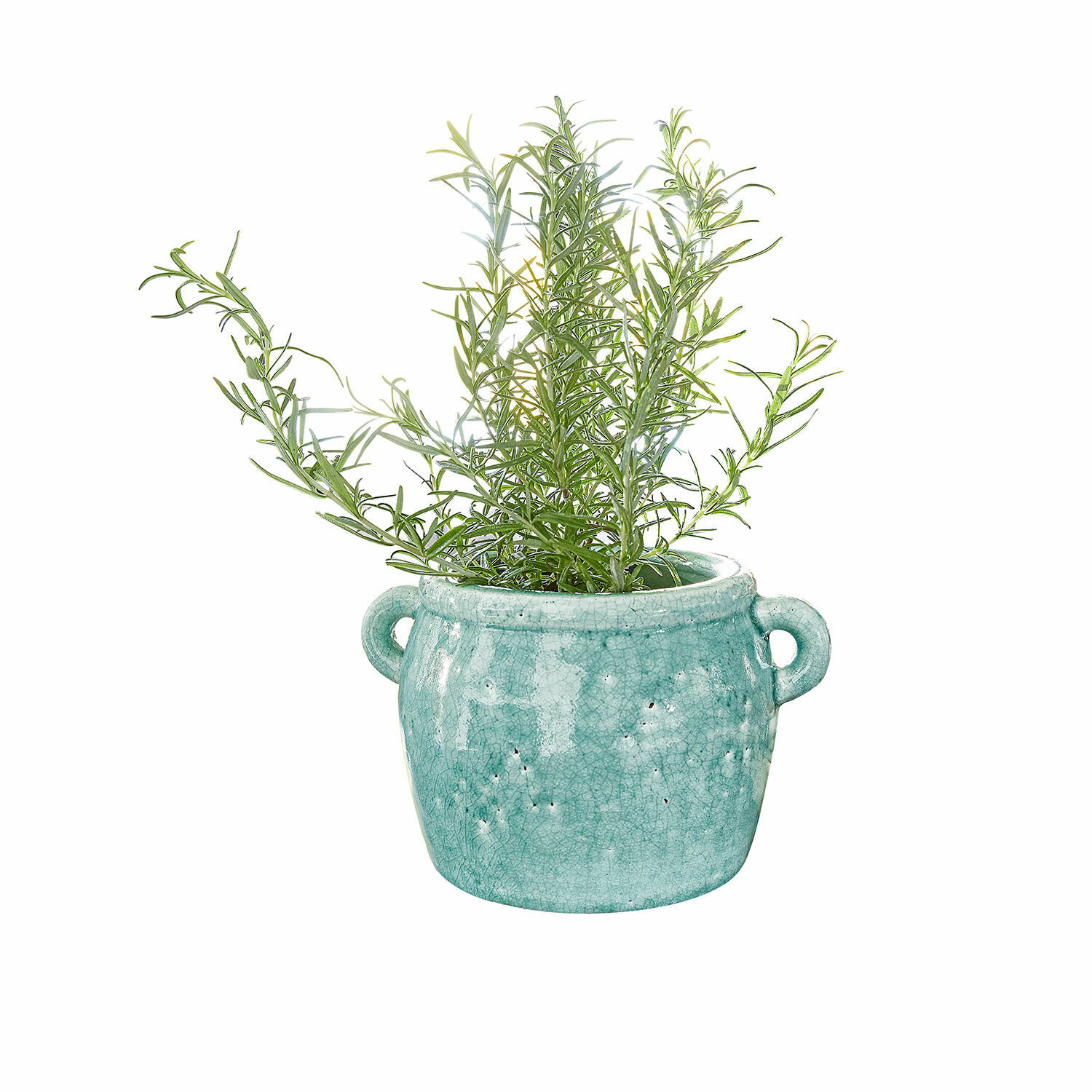 Vaas Elvin Groene plant in turquoise keramische pot met handvatten op witte achtergrond, interieurdecoratie