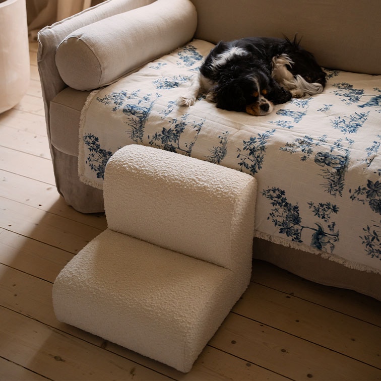 Petit fauteuil en peluche blanche pour chien sur parquet à côté d’un canapé avec un chien dormant sur une couverture bleue et blanche