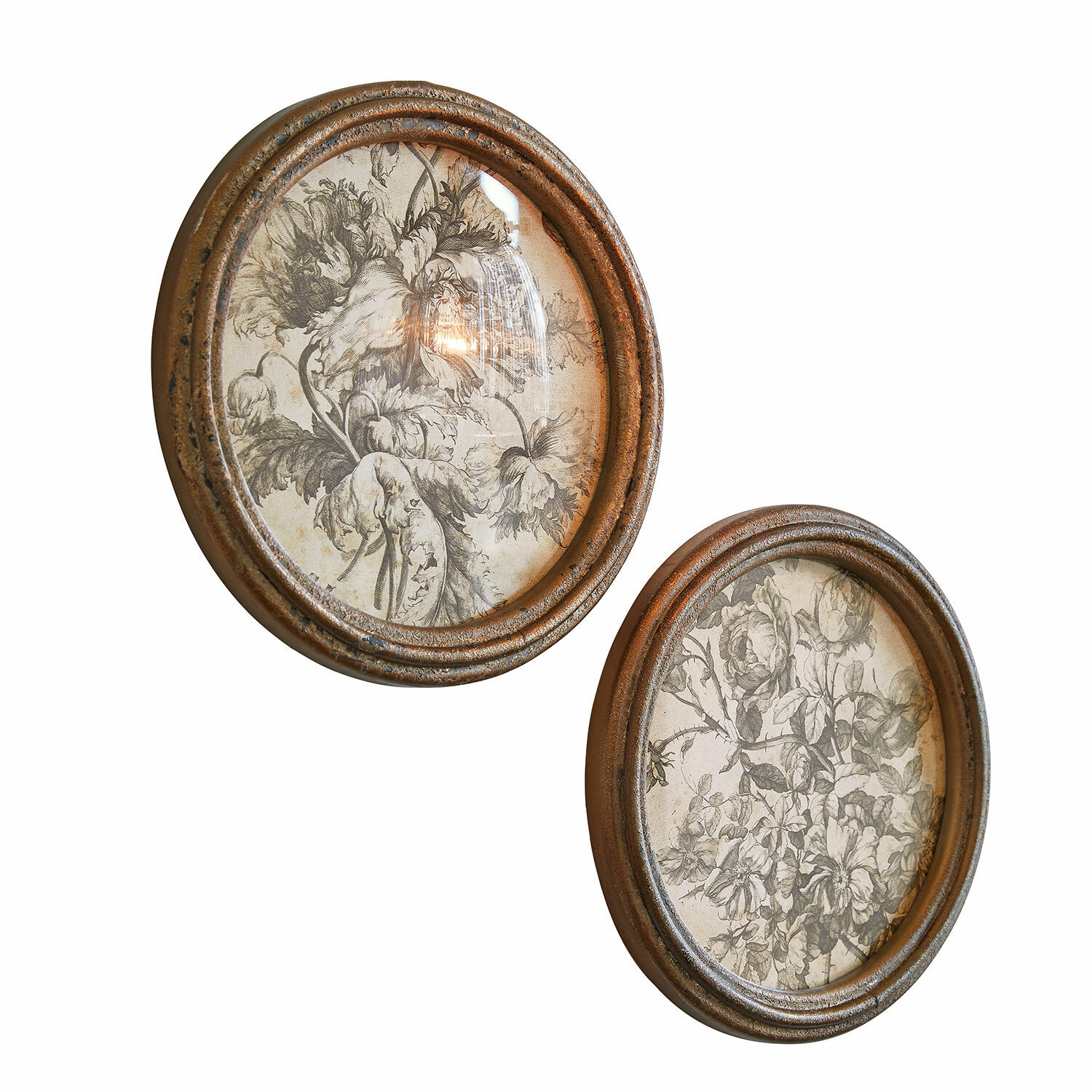Lot de 2 tableaux Phaurette Deux cadres ovales en métal brun avec illustrations florales en noir et blanc pour décoration murale