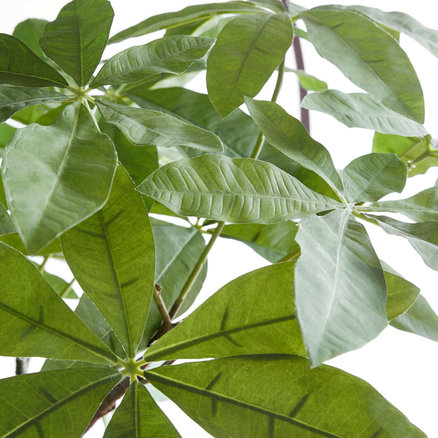 Plante en pot décorative Elandra