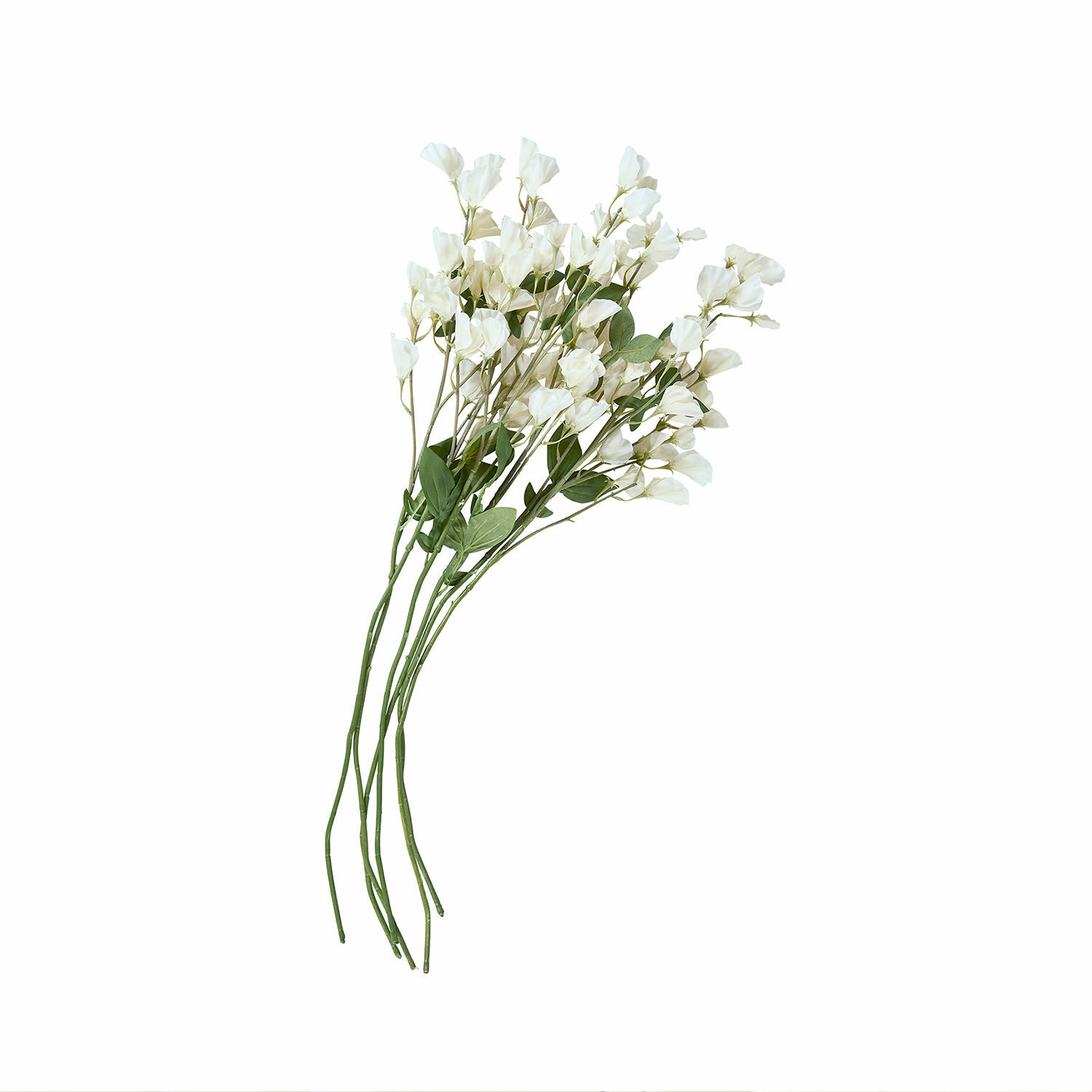Bloem set van 6 Clavigny