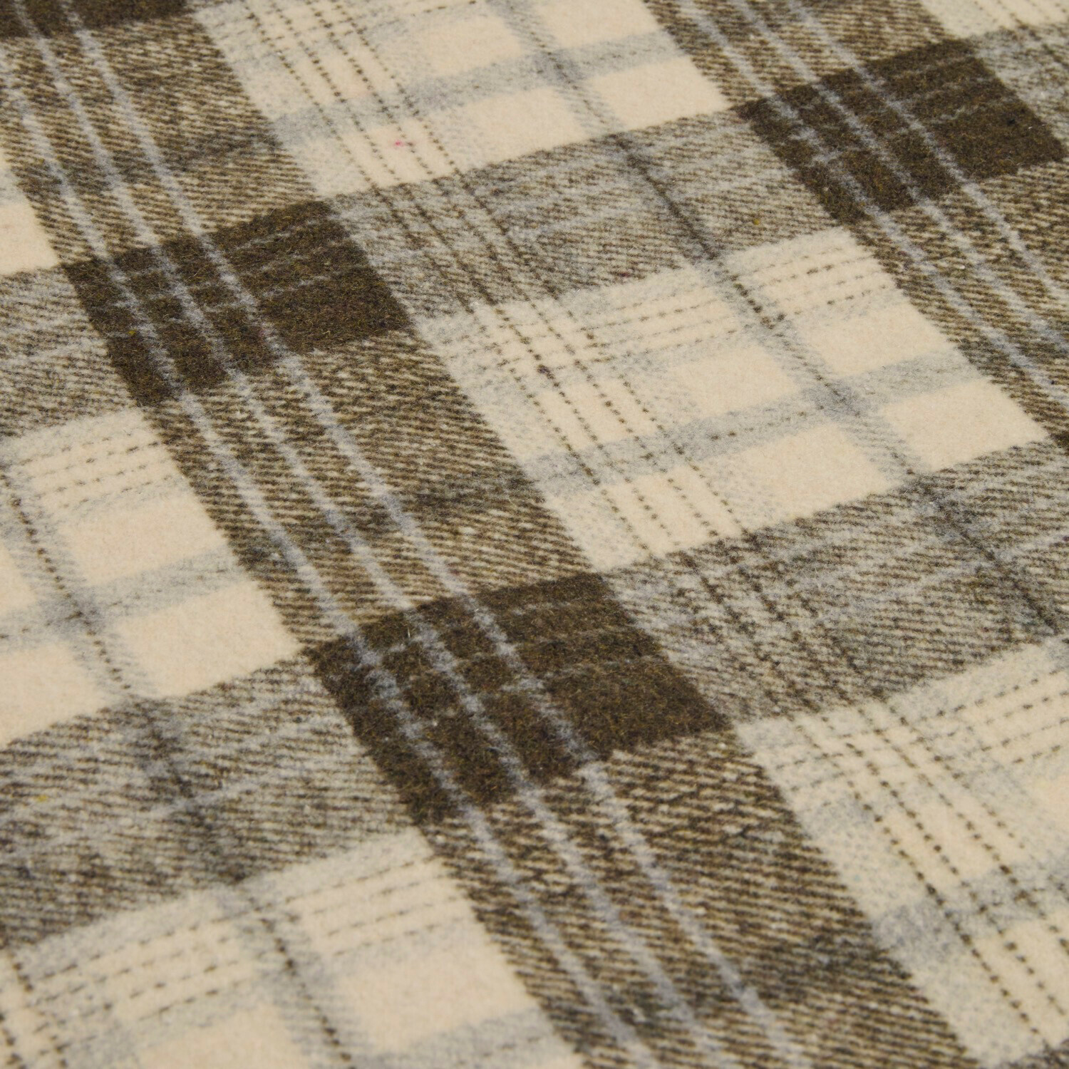 Plaid Harvie