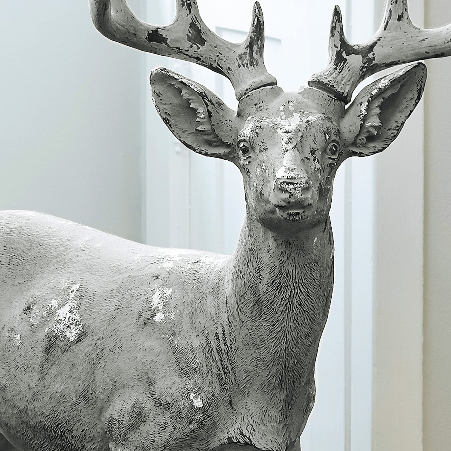 Cerf Lenny