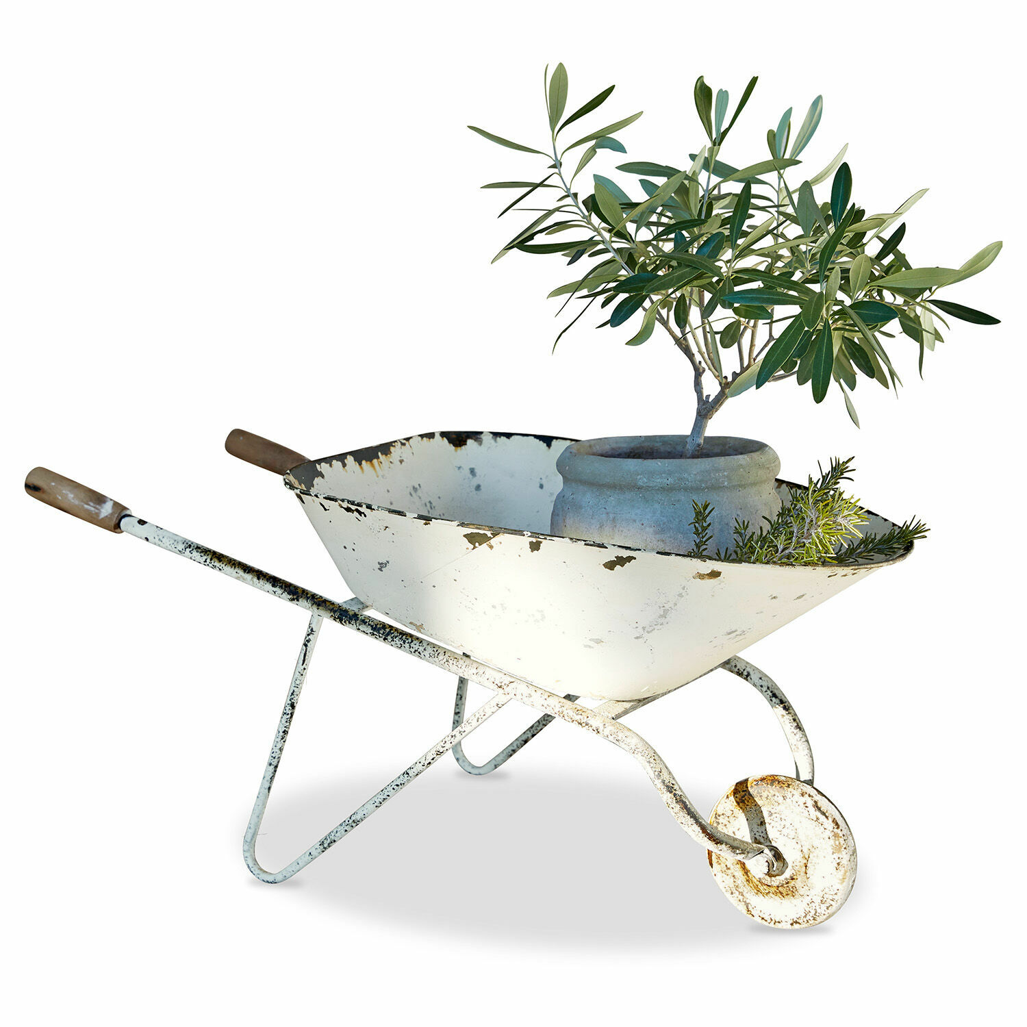Sierkruiwagen Padoux Oude witte metalen kruiwagen met roest, bloempot en groene planten als tuindecoratie