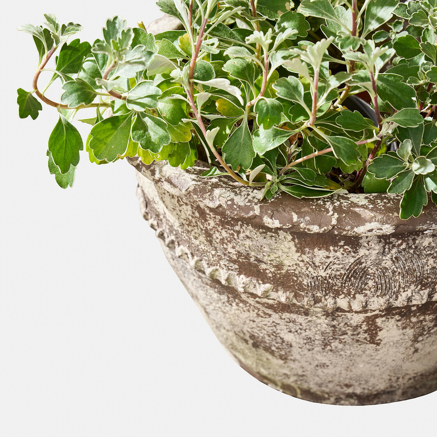 Lot de 2 cache-pots Montérise