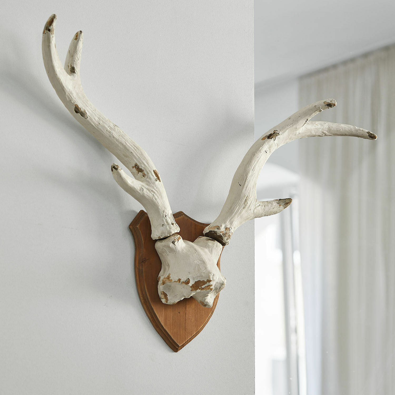 Bois de cerf décoratifs Talim Bois de cerf décoratif blanc sur plaque en bois pour suspension murale, style rustique