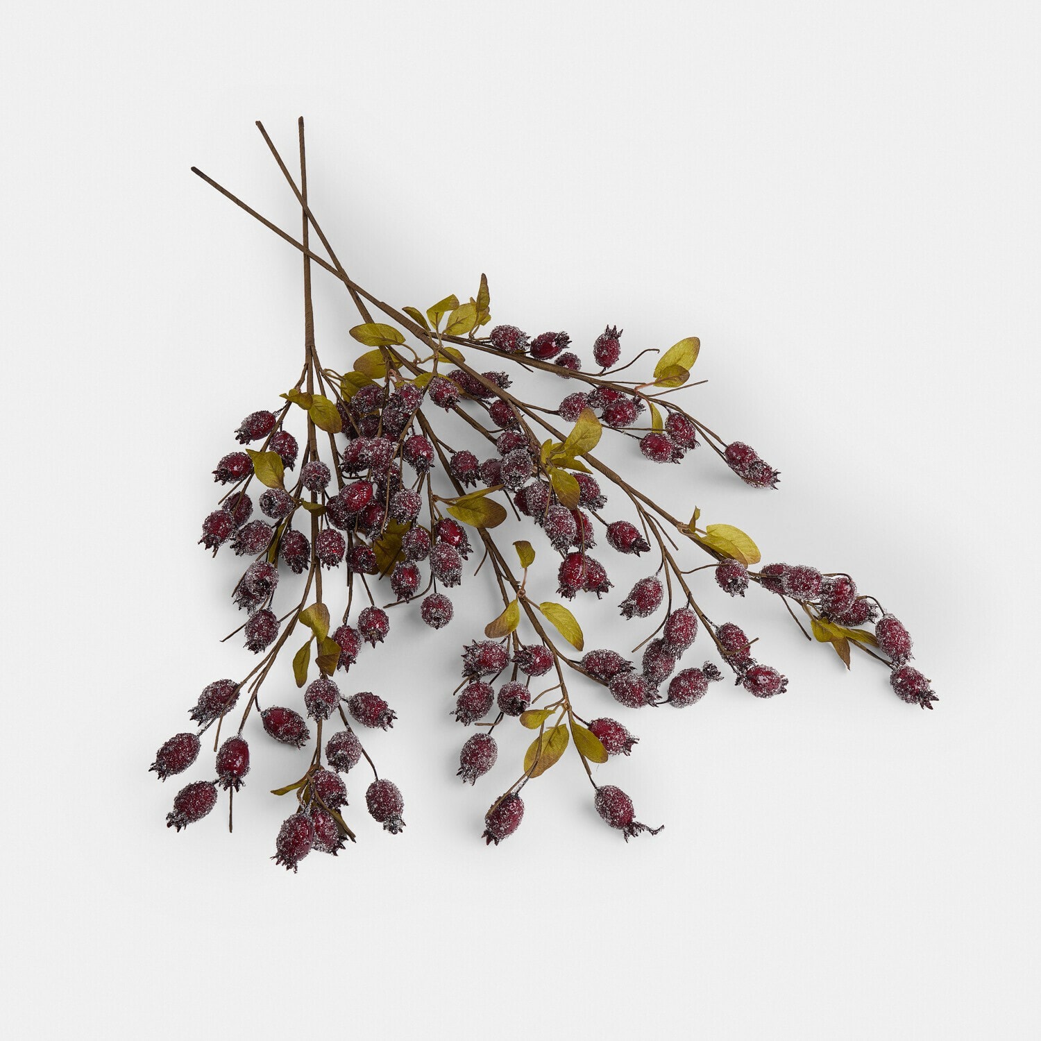 Kunsttak rozenbottels set van 3 Buttonbush Kunsttak rozenbottels set van 3 Buttonbush