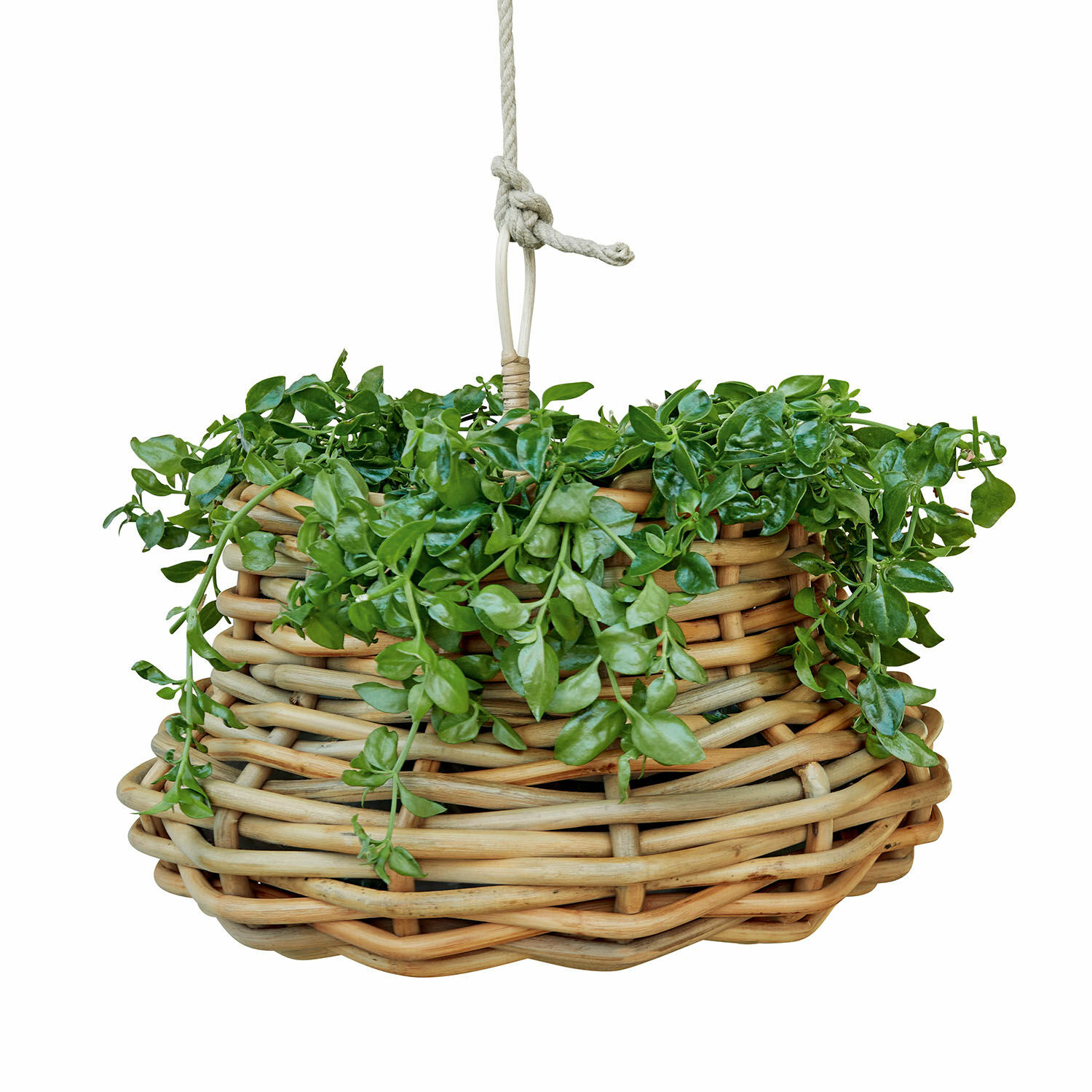 Hangmand Villaz Hangmand van natuurlijk riet met groene bladeren, decoratie voor huis en tuin