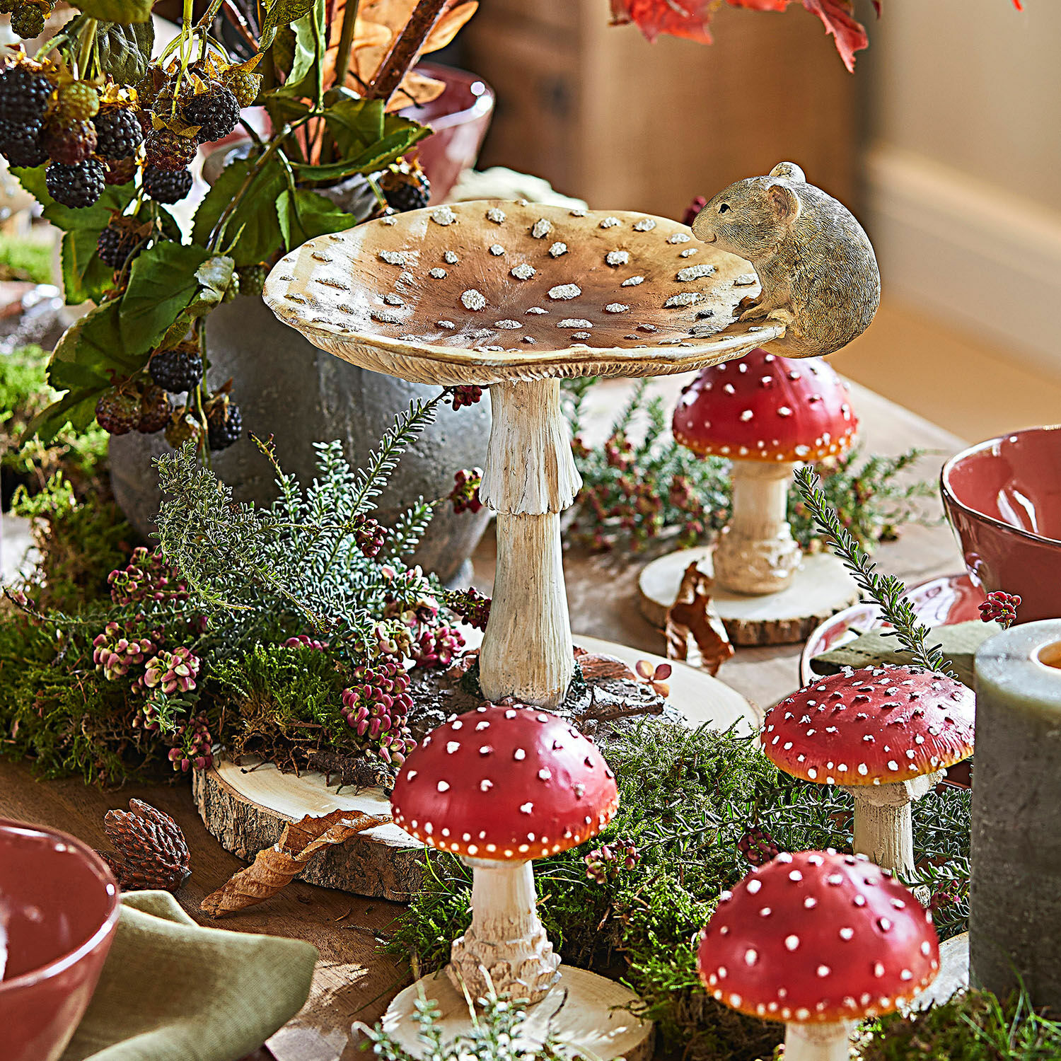 Champignon décoratif Isolise
