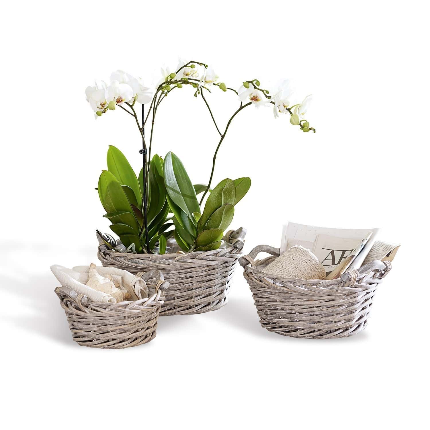 Lot de 3 corbeilles à plantes Waylon