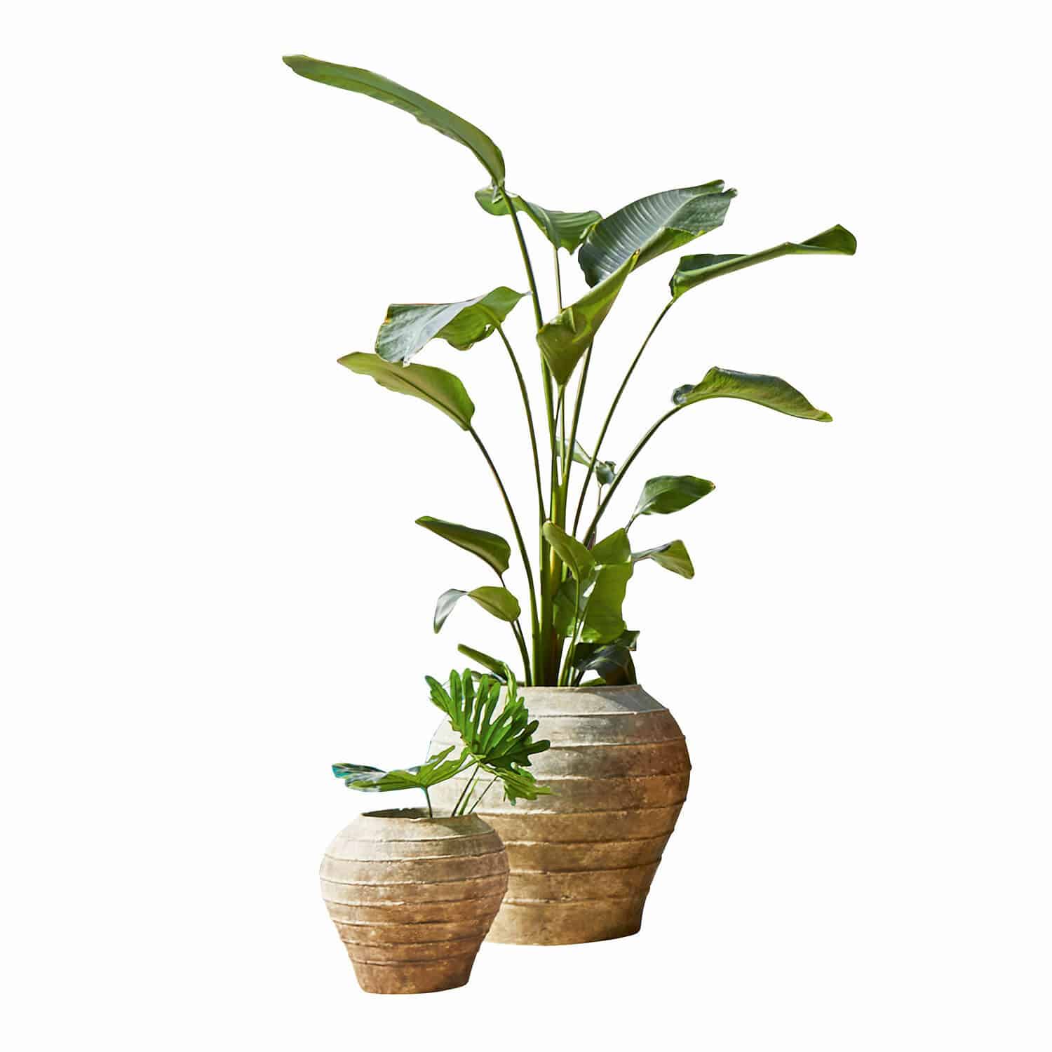 Lot de 2 cache-pots Sandis
