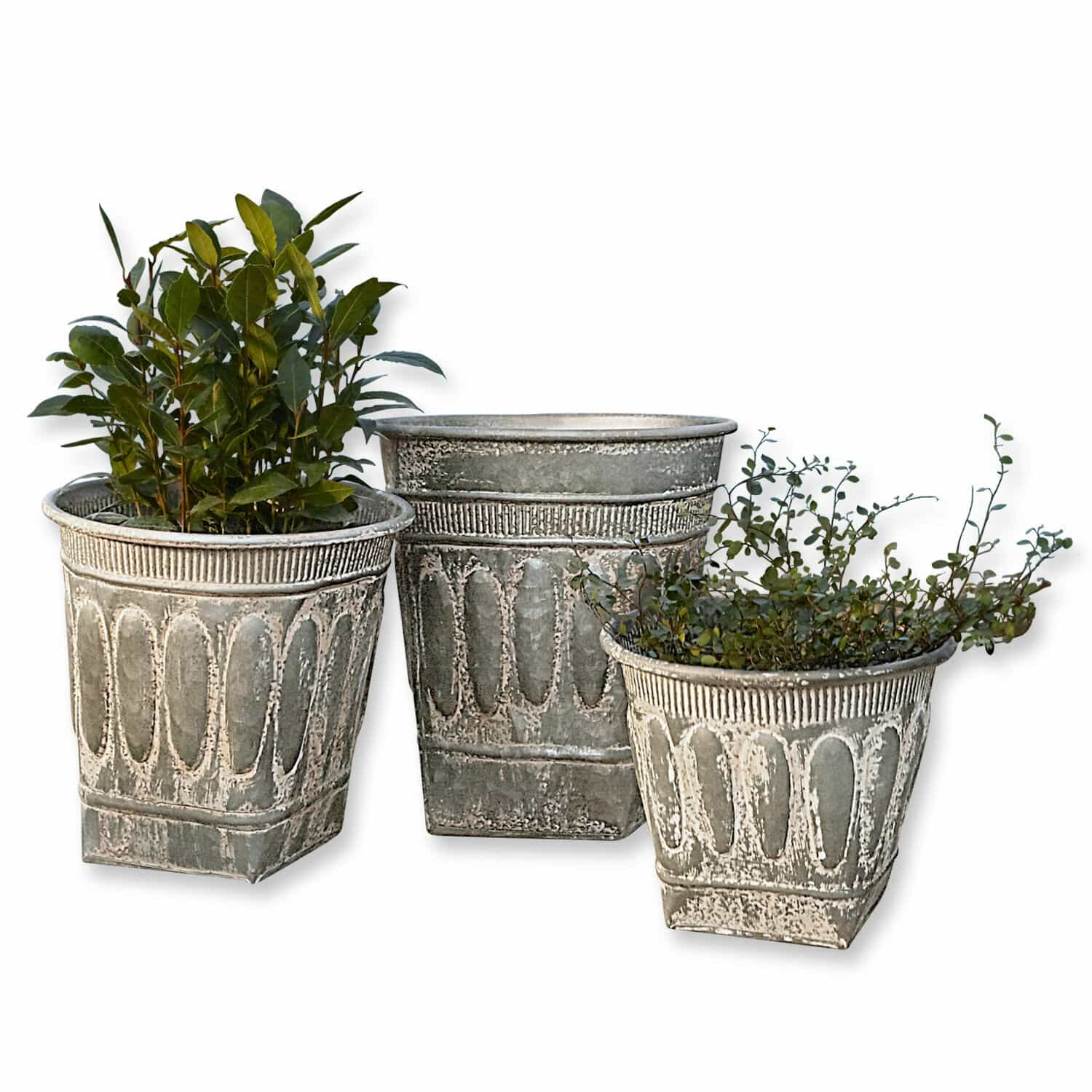 Lot de 3 cache-pots Bakersfield Ensemble de trois pots décoratifs en métal gris avec plantes pour décoration de jardin